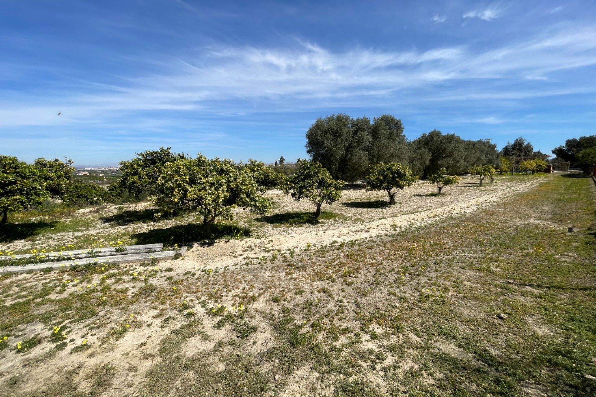 Resale - Villa -
Guardamar del Segura - Costa Blanca