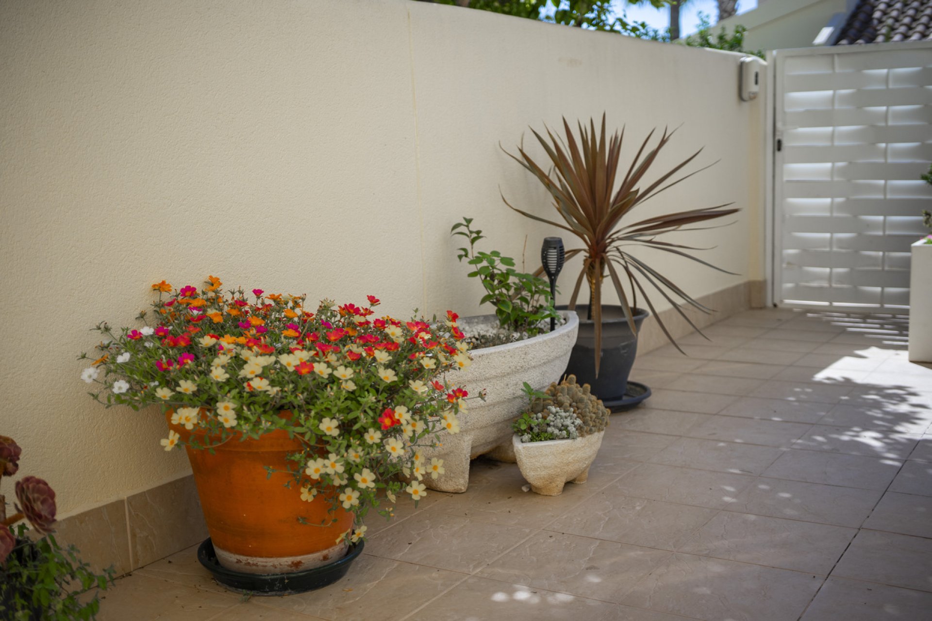 Resale - Villa -
Las Ramblas Golf - Calle Mayor