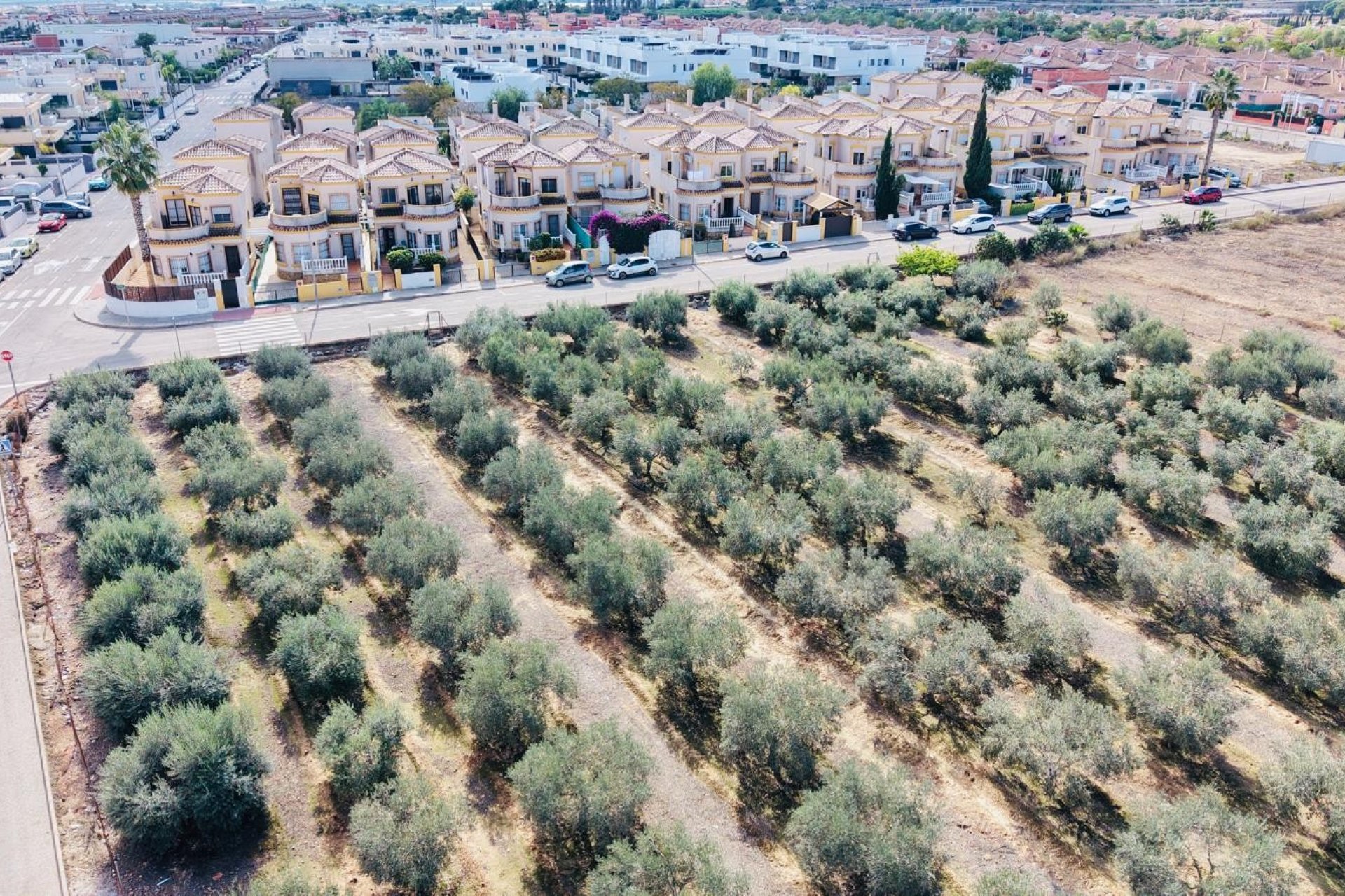 Resale - Villa -
Los Montesinos - Costa Blanca