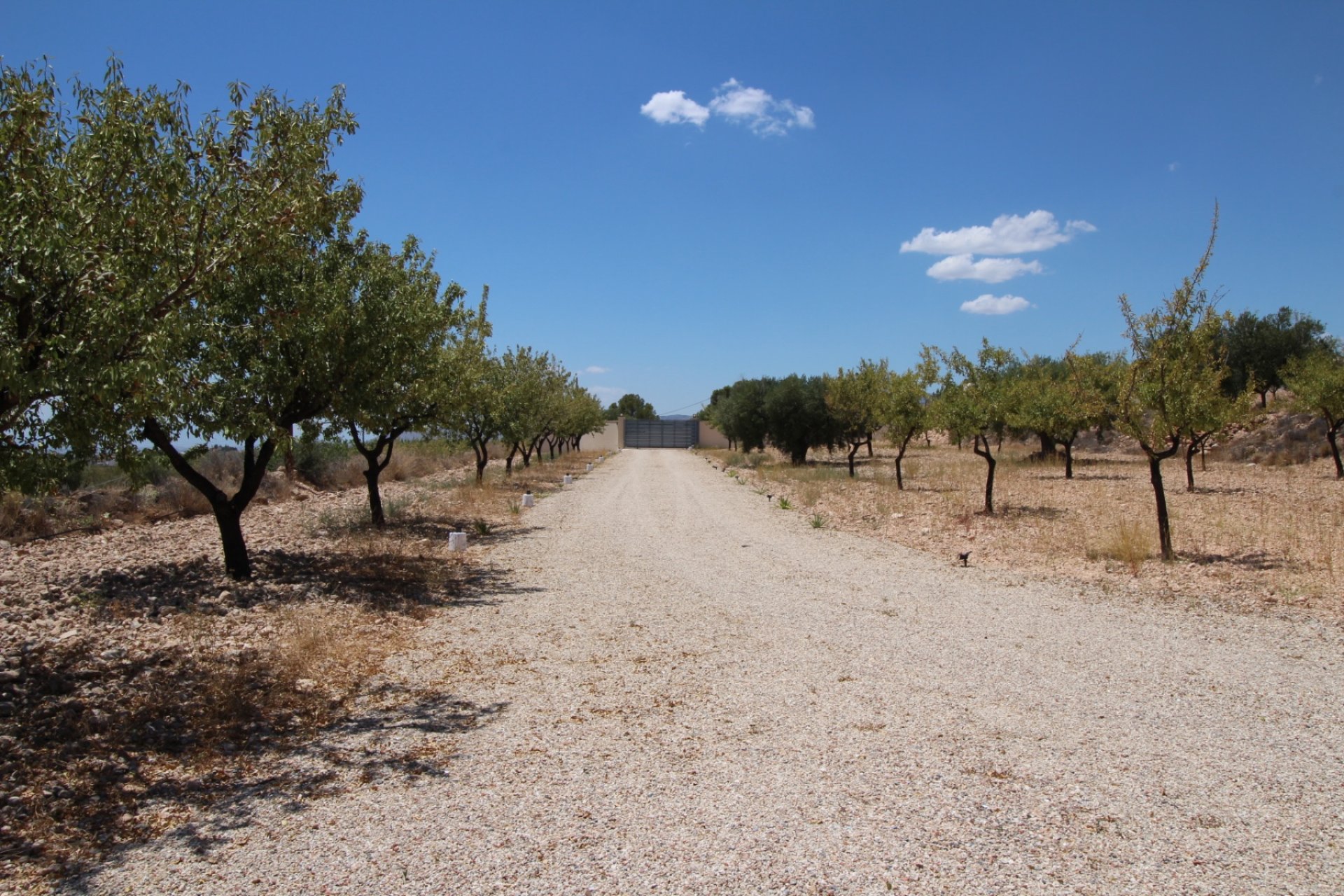 Resale - Villa -
Macisvenda - Inland