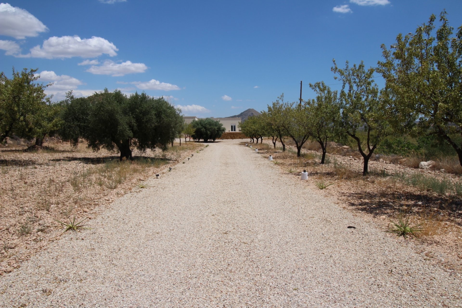 Resale - Villa -
Macisvenda - Inland
