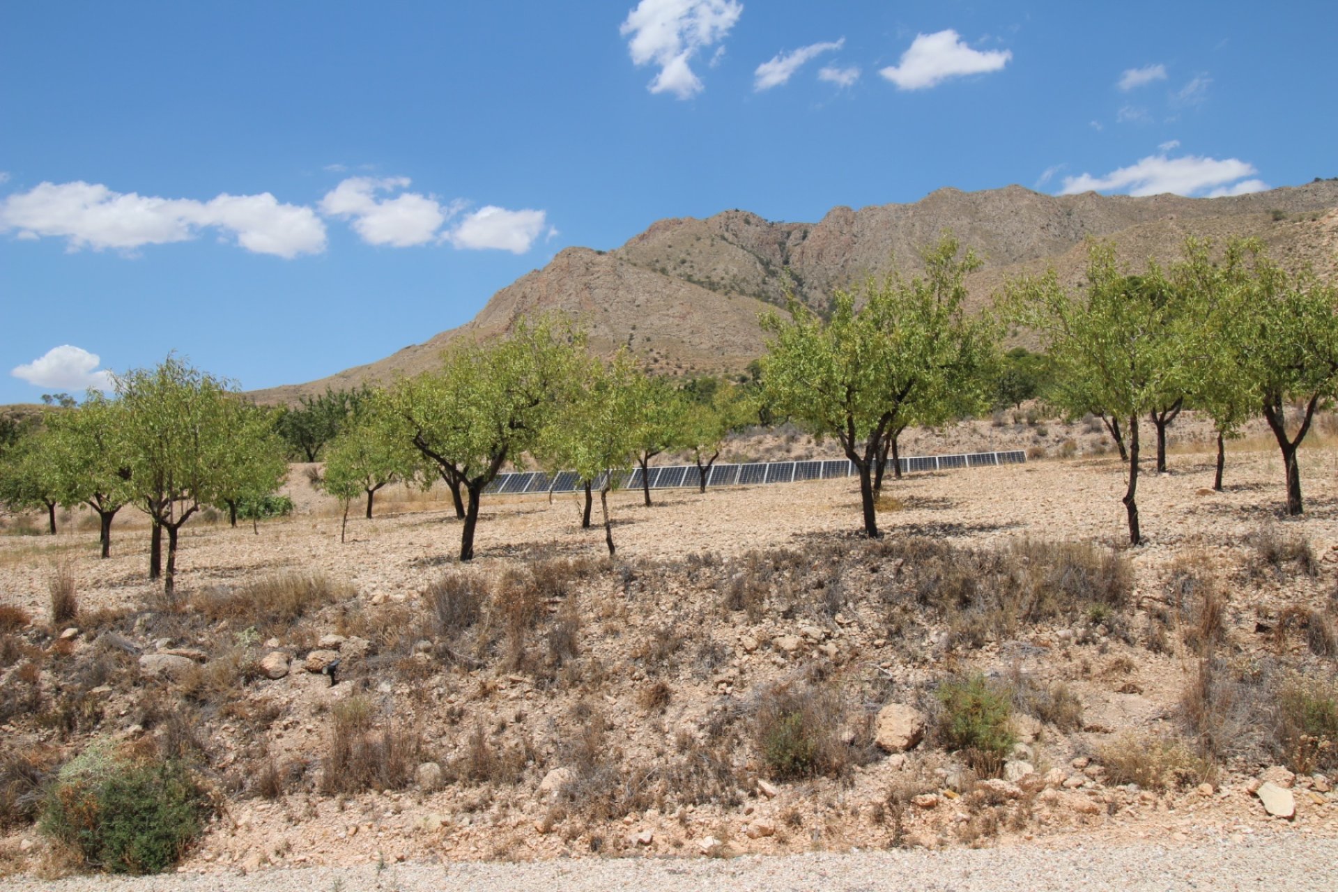 Resale - Villa -
Macisvenda - Inland
