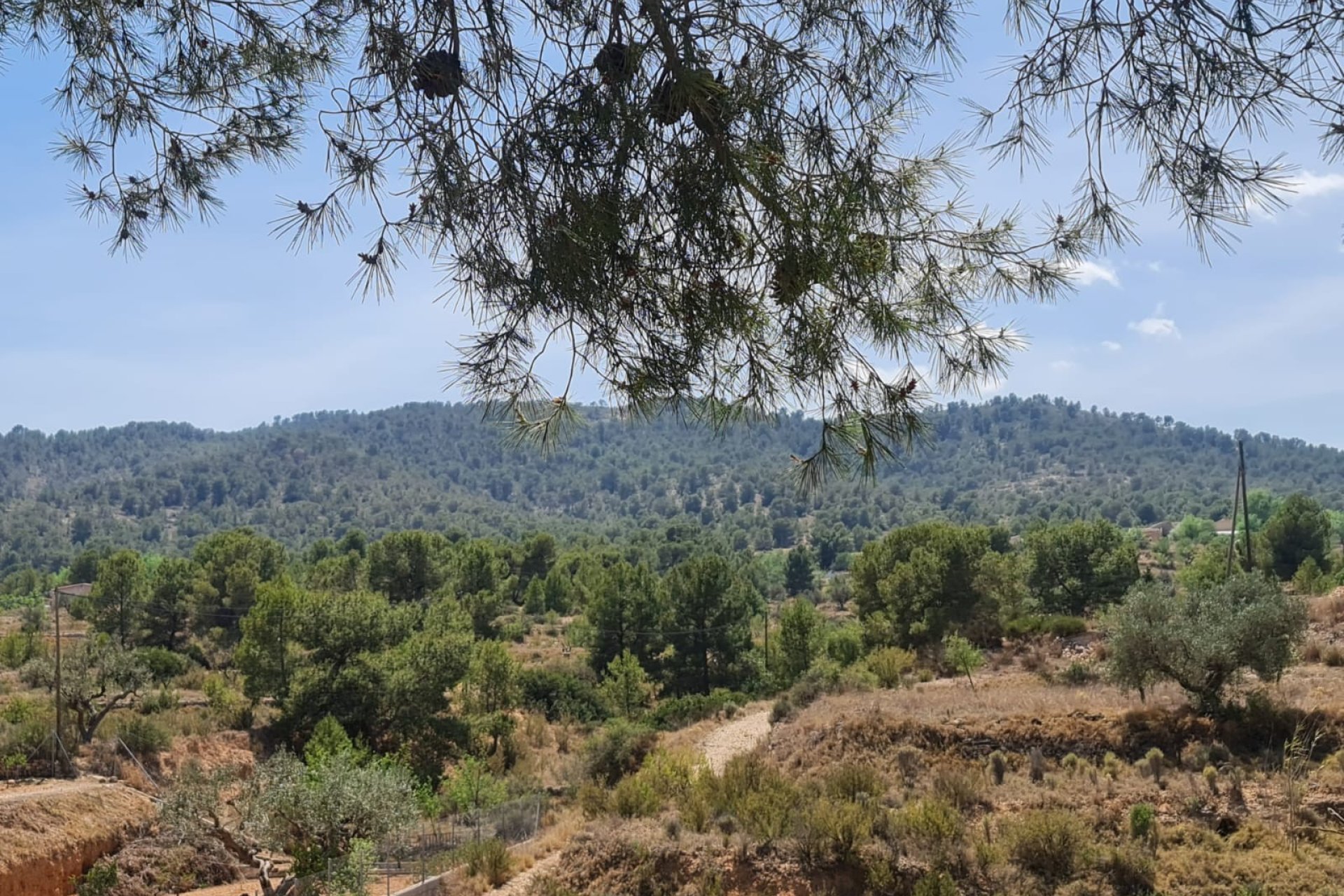 Resale - Villa -
Monóvar/Monóver - Inland