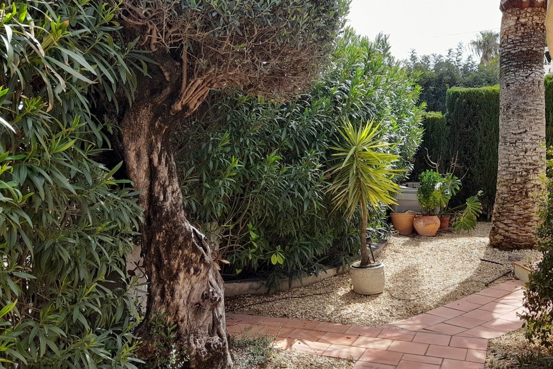 Resale - Villa -
Orba - Inland