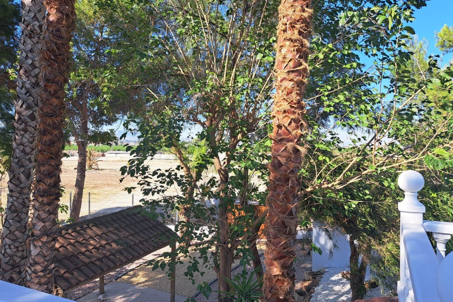 Resale - Villa -
Orihuela - Desamparados-hurchillo-torremendo