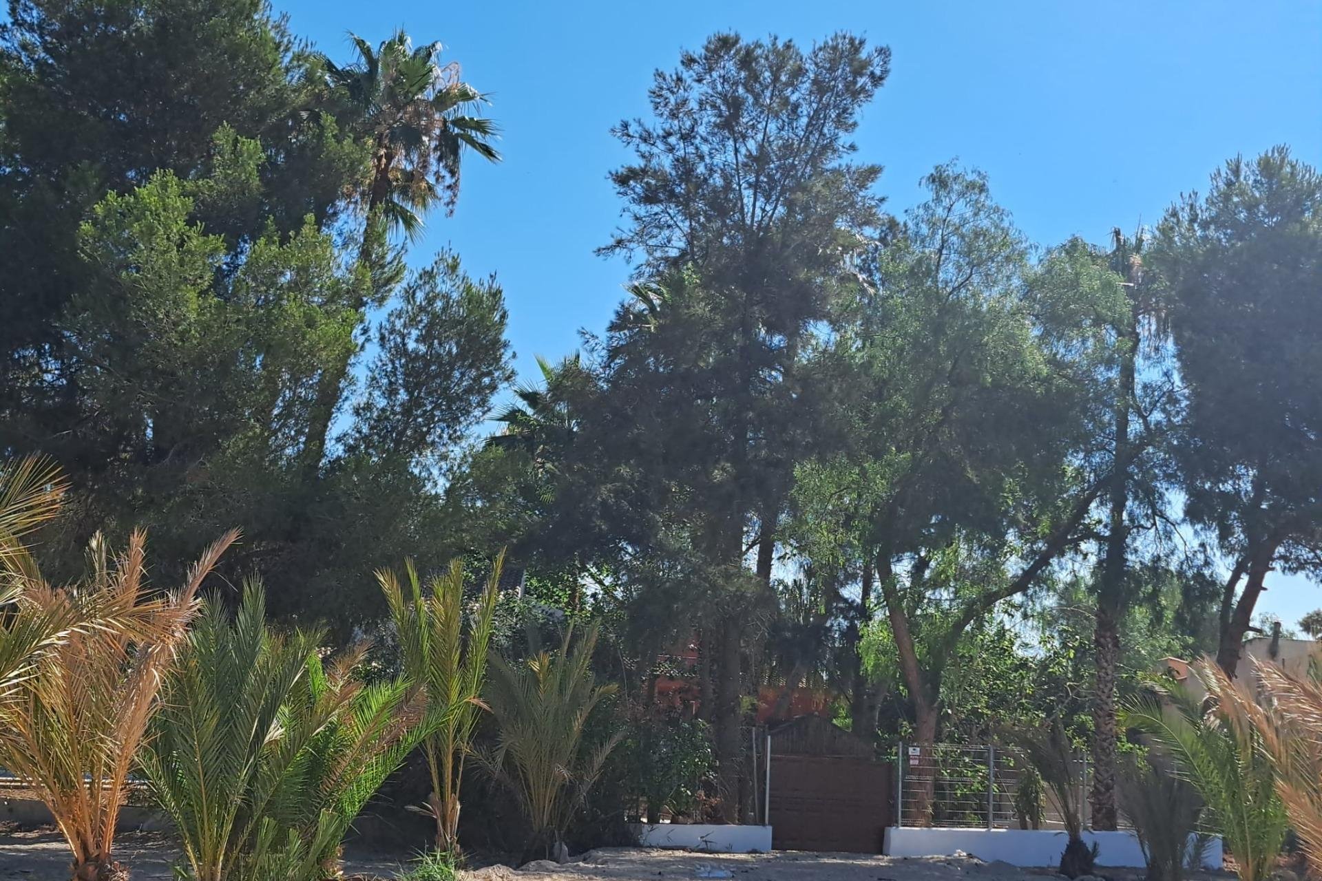 Resale - Villa -
Orihuela - Desamparados-hurchillo-torremendo