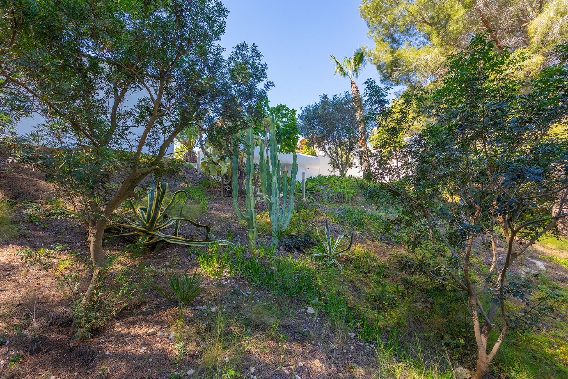 Resale - Villa -
Orihuela - Inland