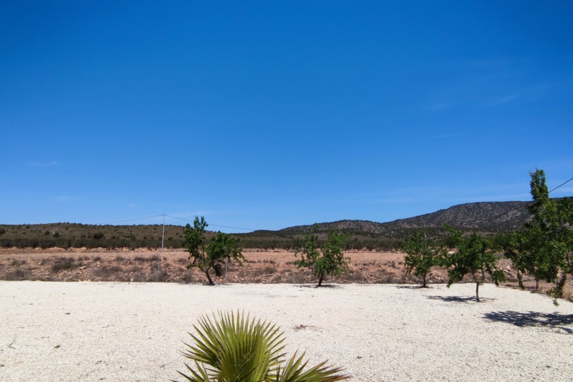 Resale - Villa -
Pinoso - Inland