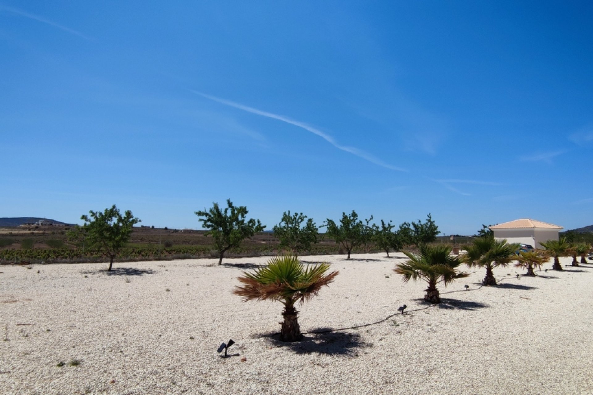 Resale - Villa -
Pinoso - Inland