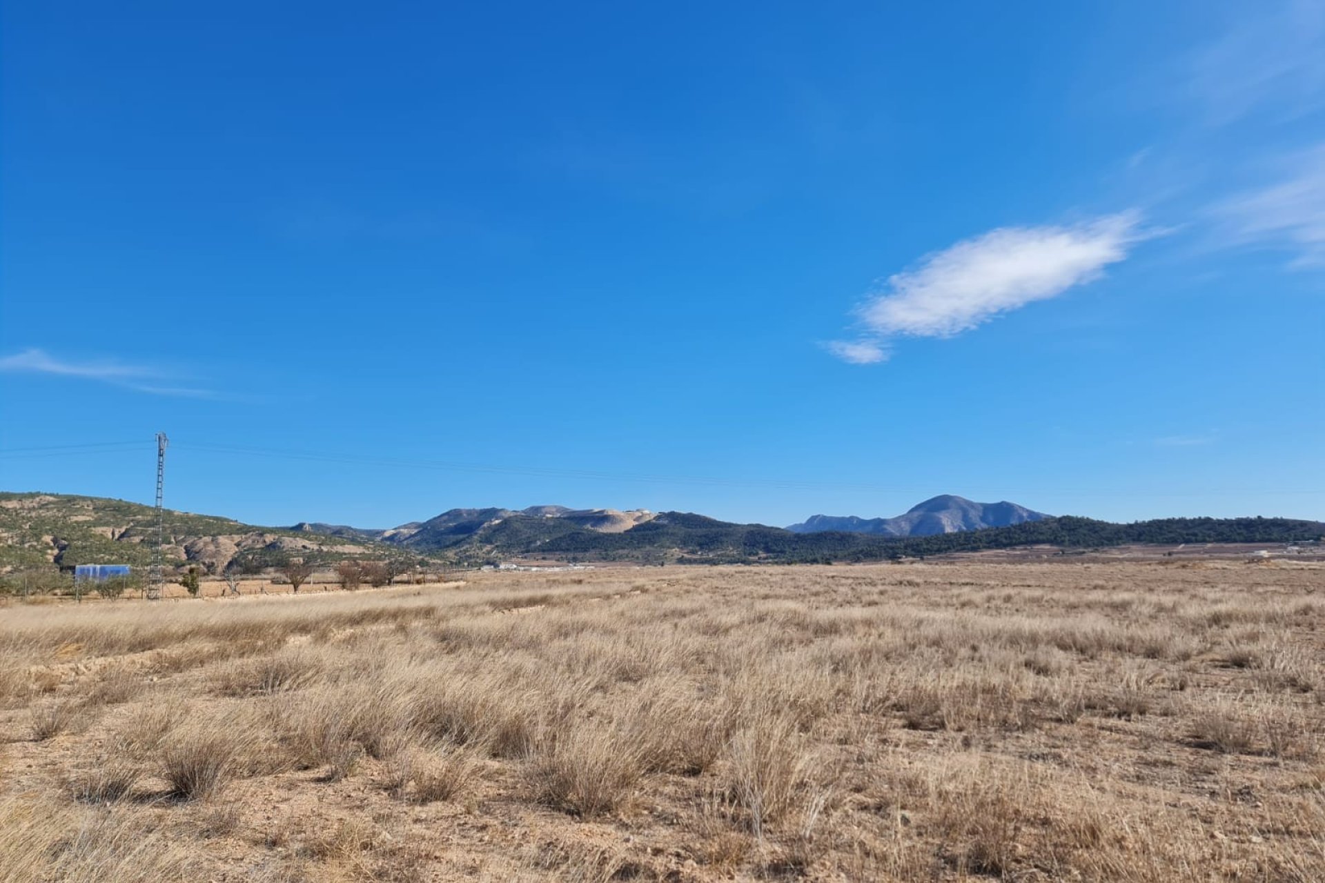 Resale - Villa -
Pinoso - Inland