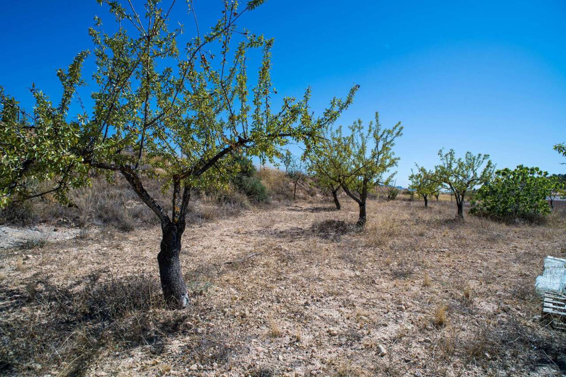 Resale - Villa -
Pinoso - Inland