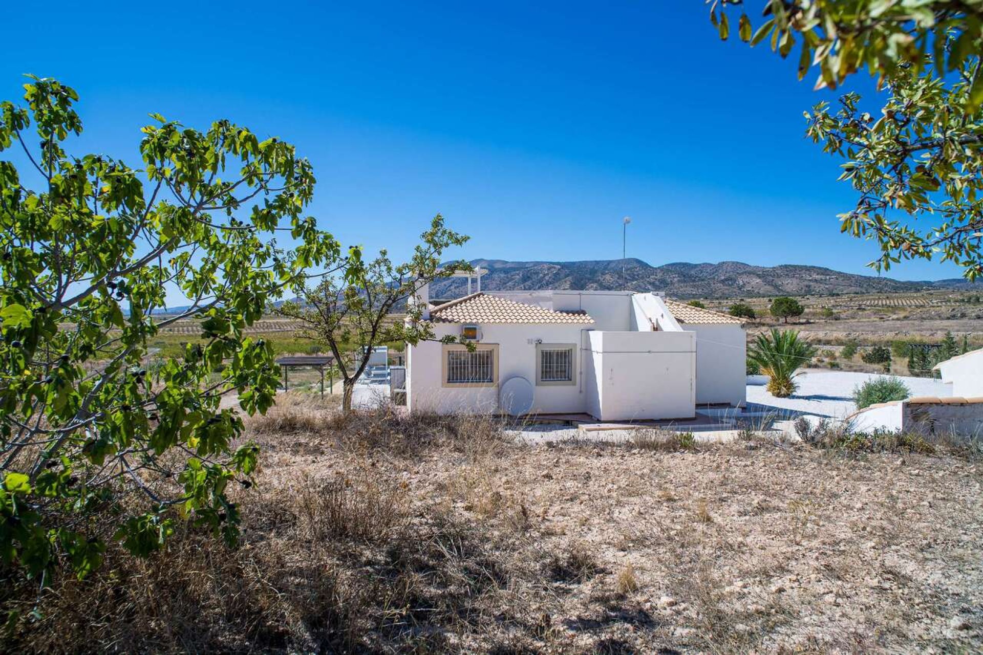Resale - Villa -
Pinoso - Inland