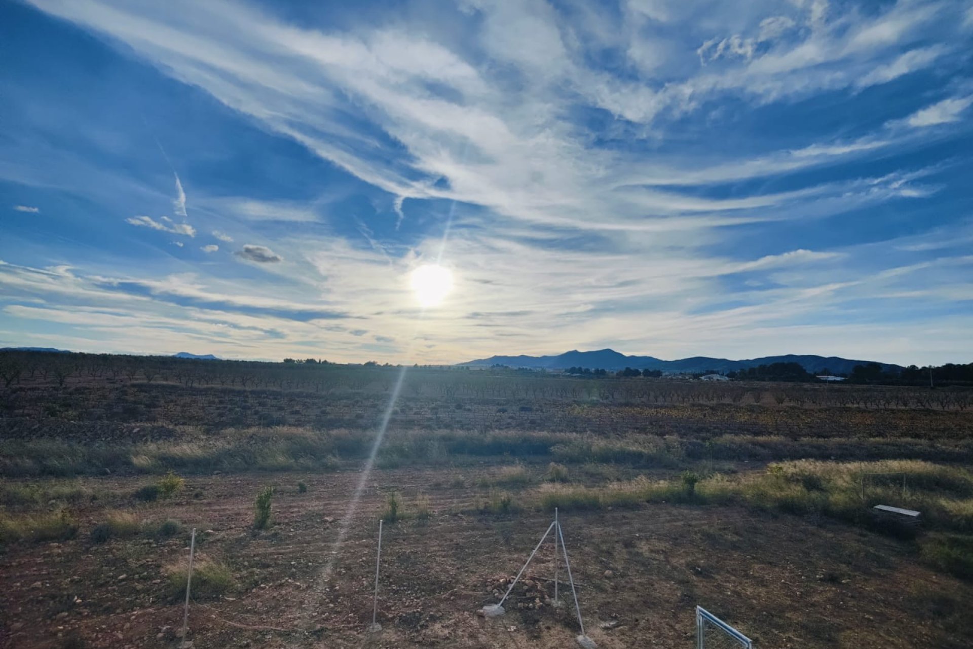 Resale - Villa -
Pinoso - Inland