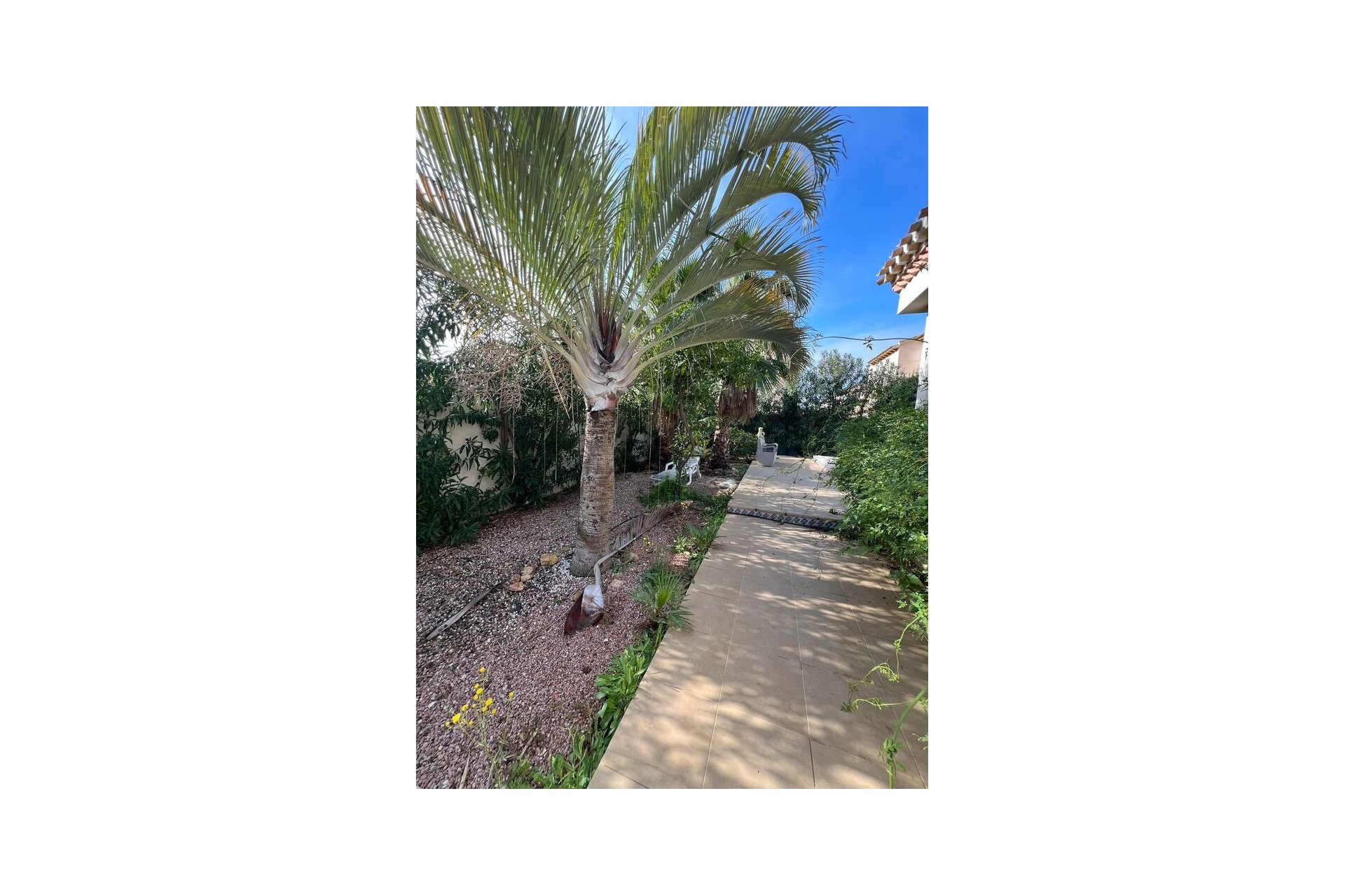 Resale - Villa -
Playa Flamenca