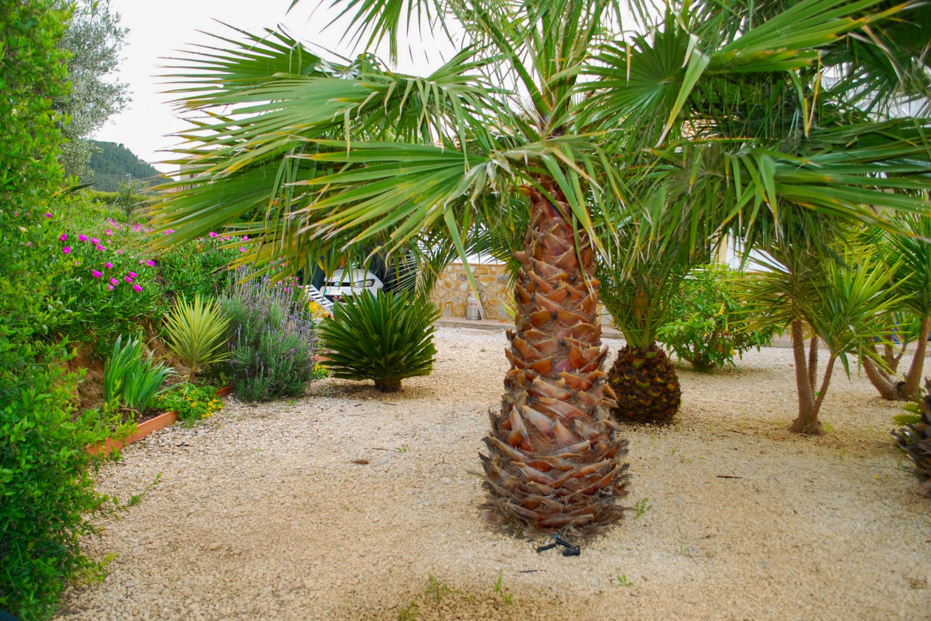 Resale - Villa -
Pliego - Inland