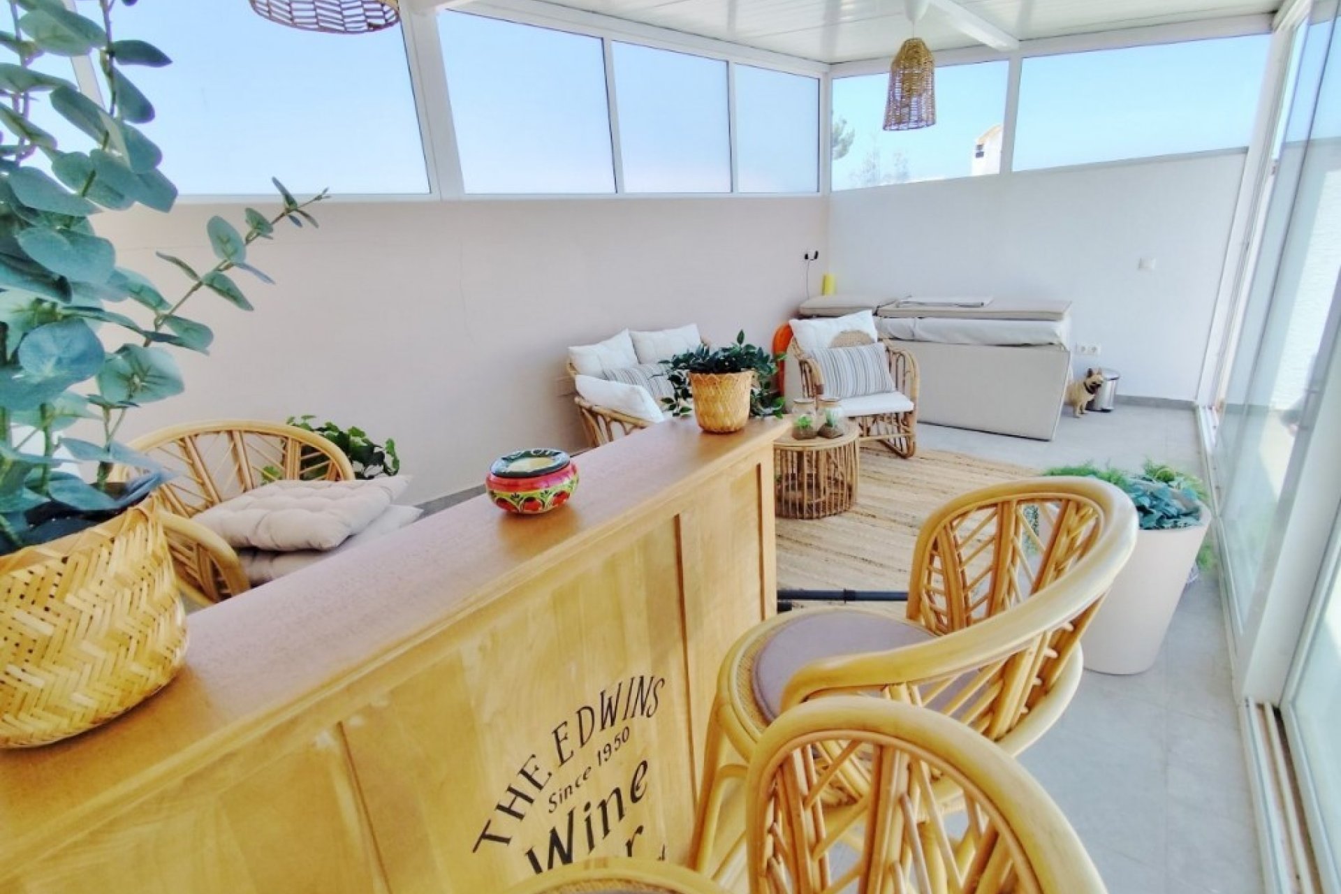 Resale - Villa -
San Miguel de Salinas - Inland