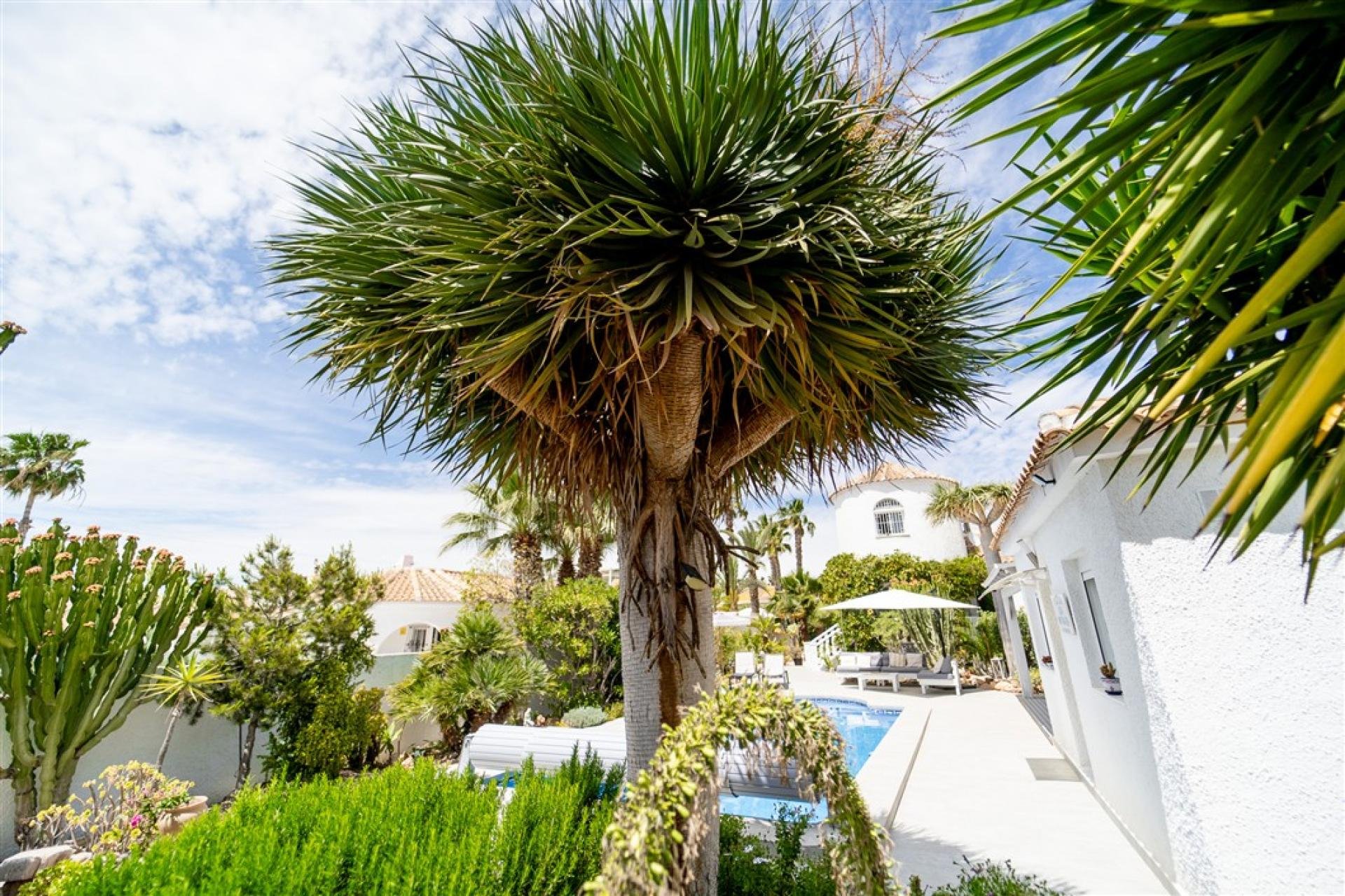 Resale - Villa -
Torrevieja - Costa Blanca