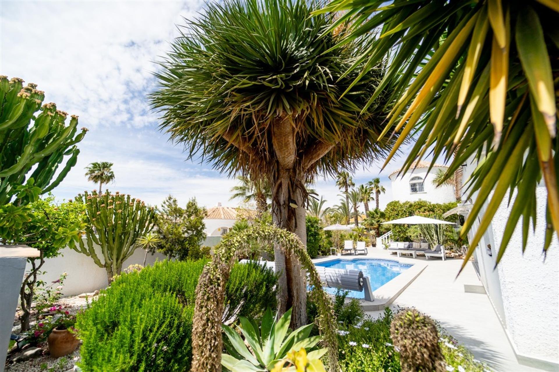 Resale - Villa -
Torrevieja - Costa Blanca