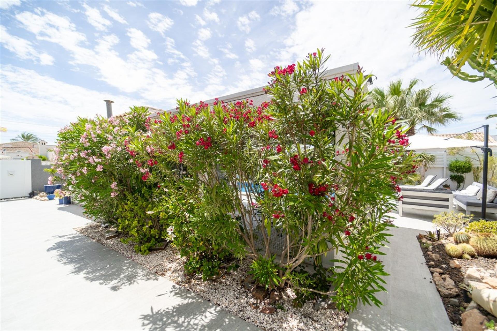 Resale - Villa -
Torrevieja - Costa Blanca