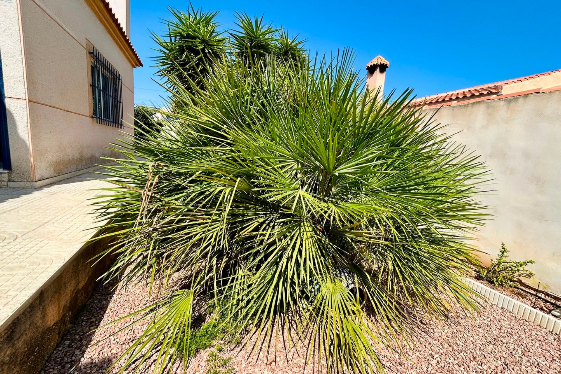 Resale - Villa -
Torrevieja - Costa Blanca