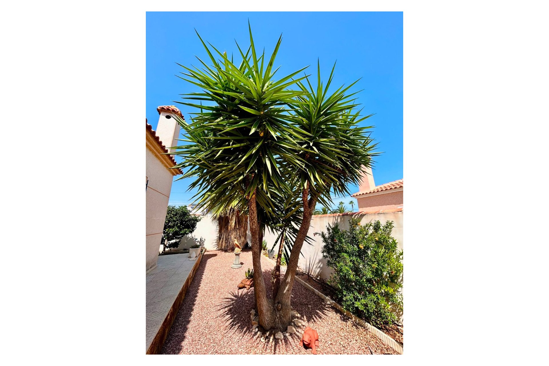 Resale - Villa -
Torrevieja - Costa Blanca