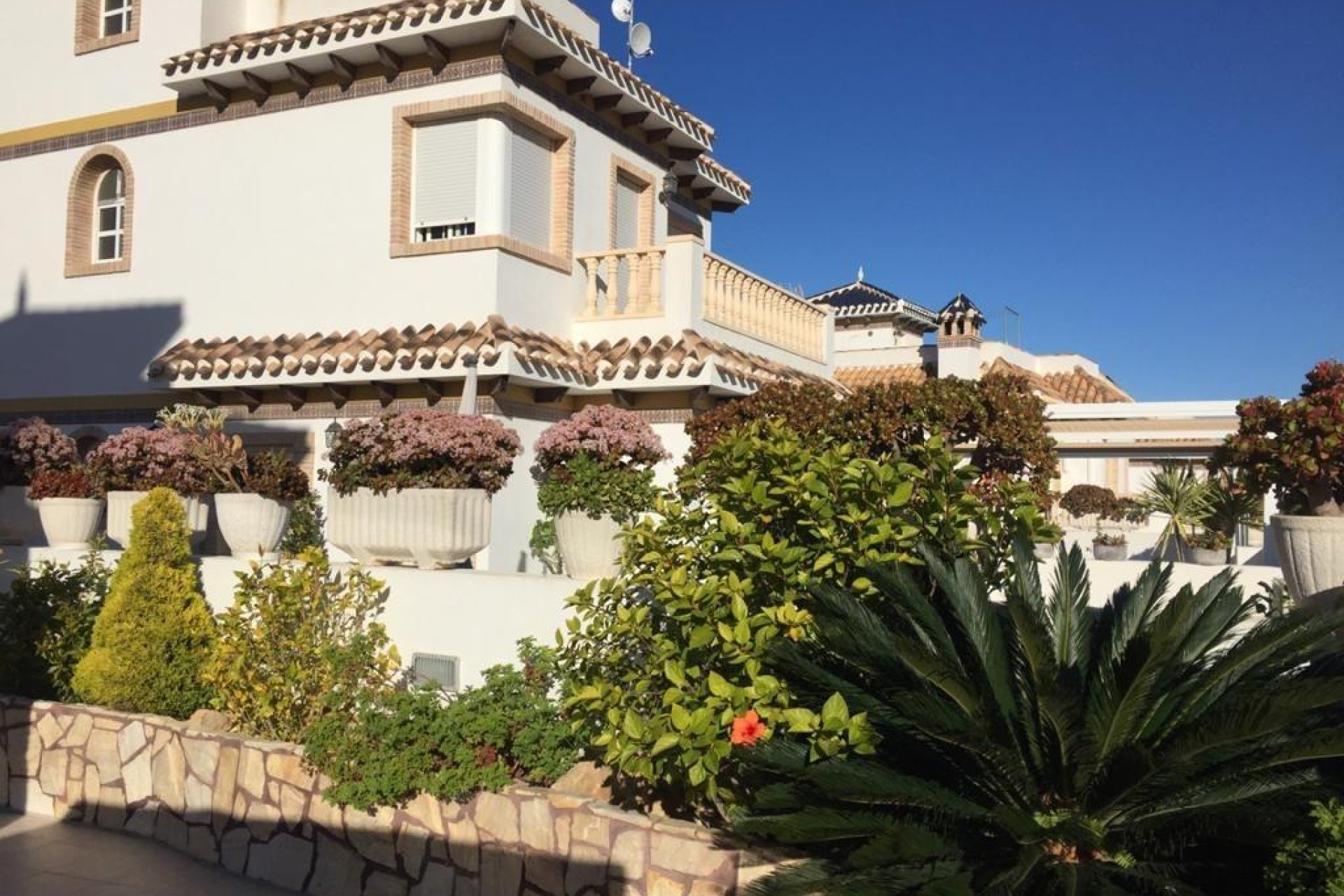 Resale - Villa -
Torrevieja - La Mata