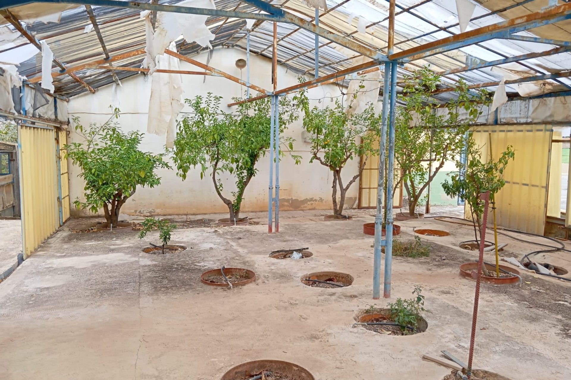 Resale - Villa -
Yecla - Inland