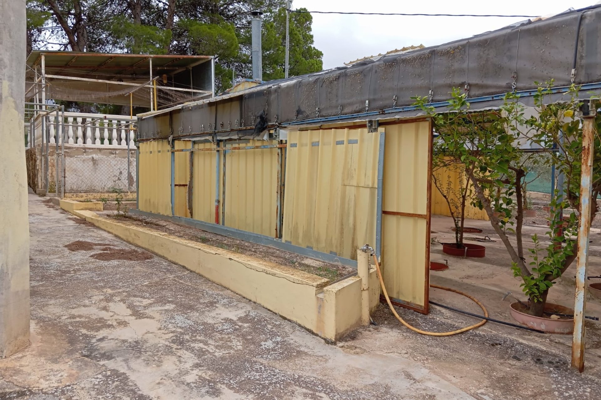 Resale - Villa -
Yecla - Inland