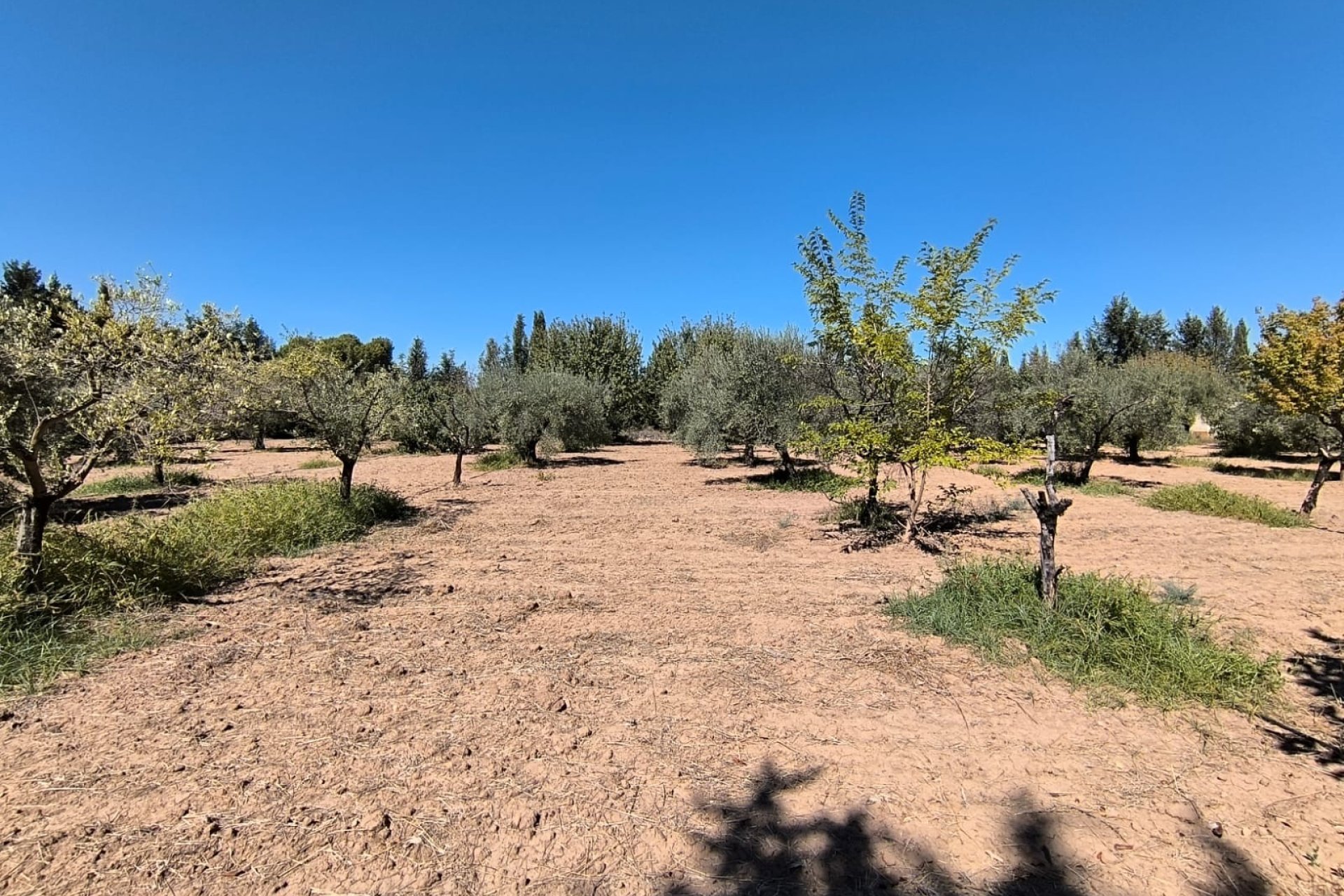 Resale - Villa -
Yecla - Inland