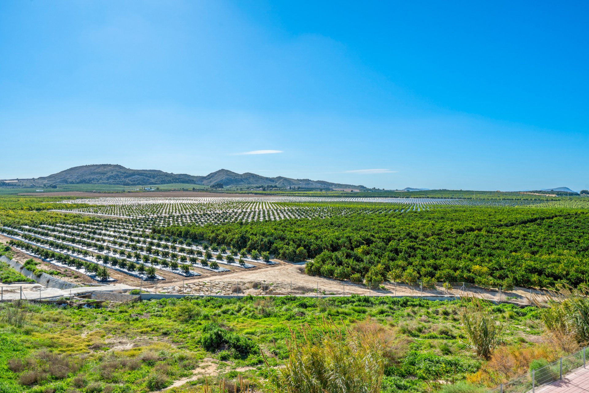 Revânzare - Apartament -
Algorfa - Inland