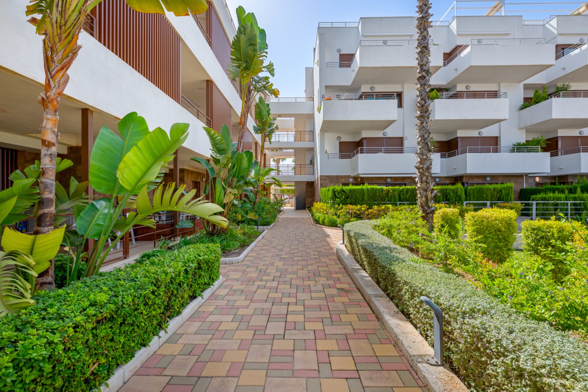 Revânzare - Apartament -
Cabo Roig - Costa Blanca