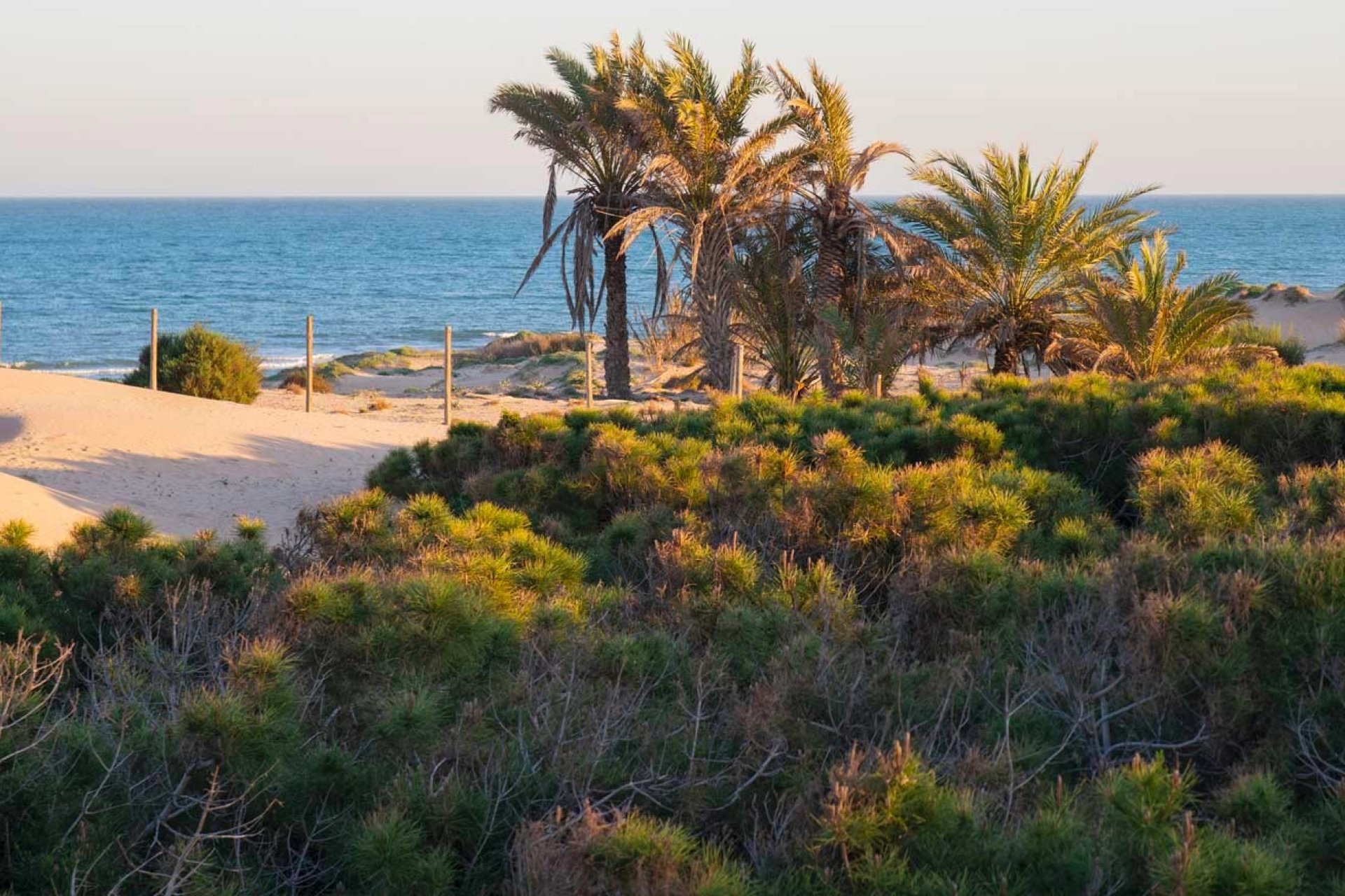 Revânzare - Apartament -
Guardamar del Segura - Costa Blanca