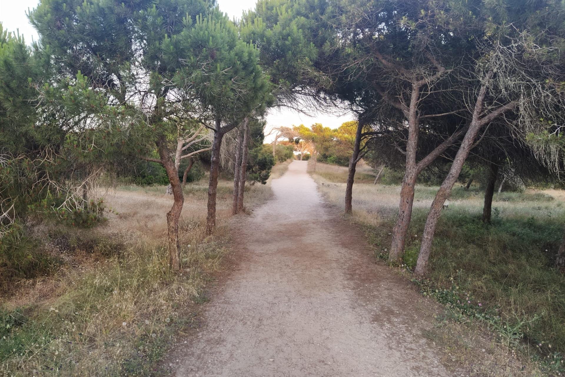 Revânzare - Apartament -
Guardamar del Segura - Pinomar