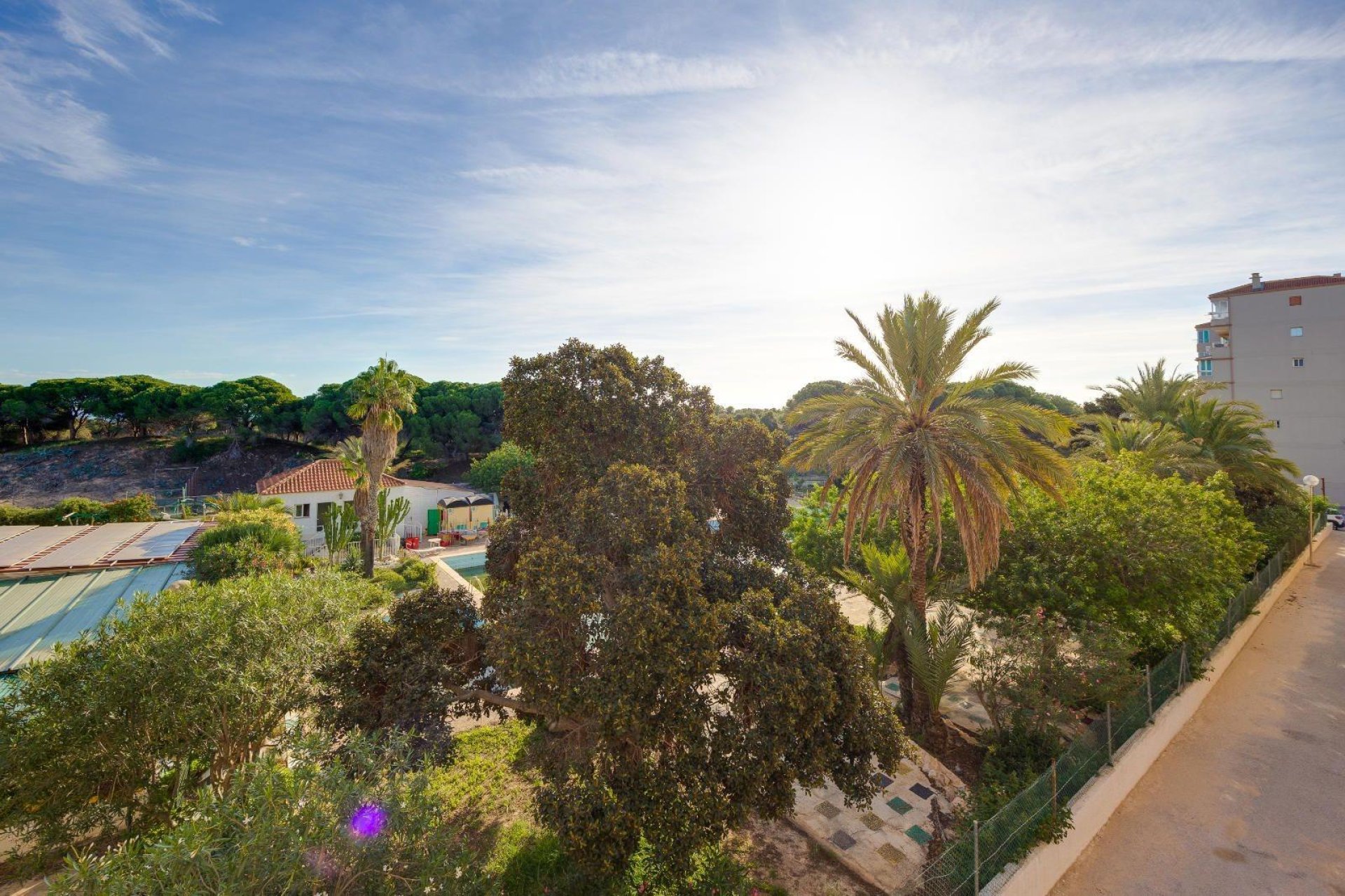 Revânzare - Apartament -
Guardamar del Segura - Pinomar