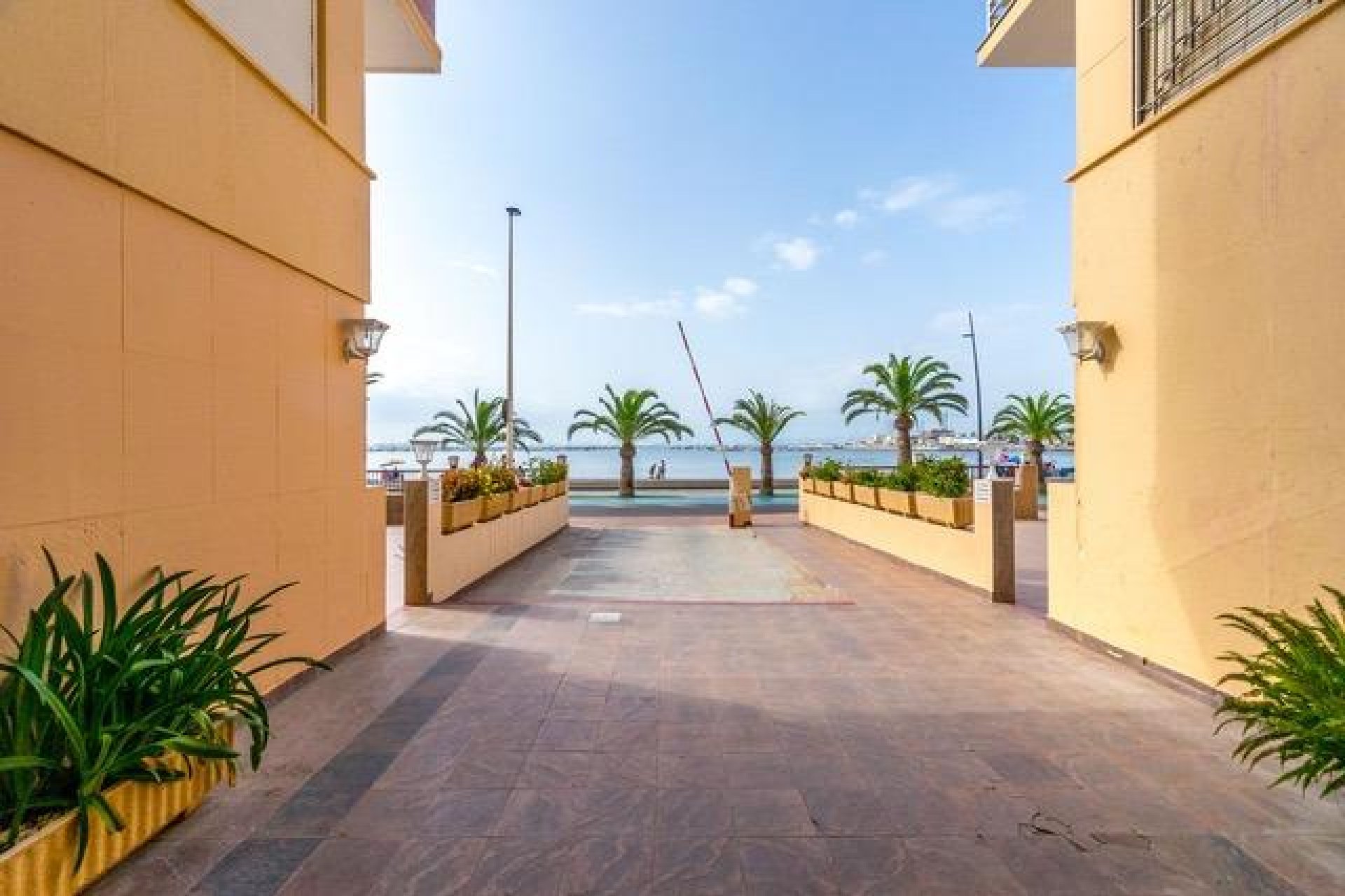 Revânzare - Apartament -
Lo Pagan - Villananitos