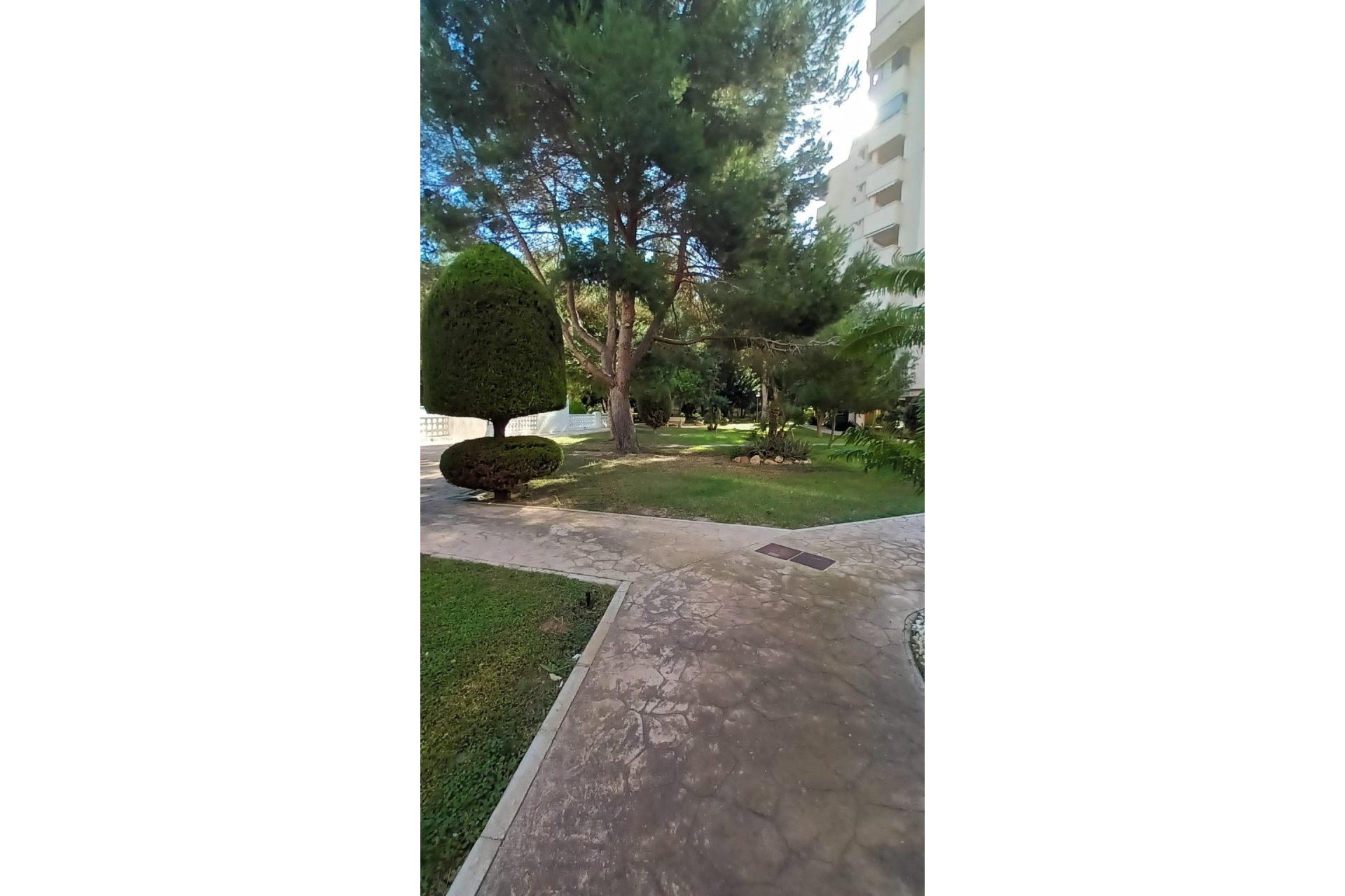 Revânzare - Apartament -
Orihuela Costa - Campoamor