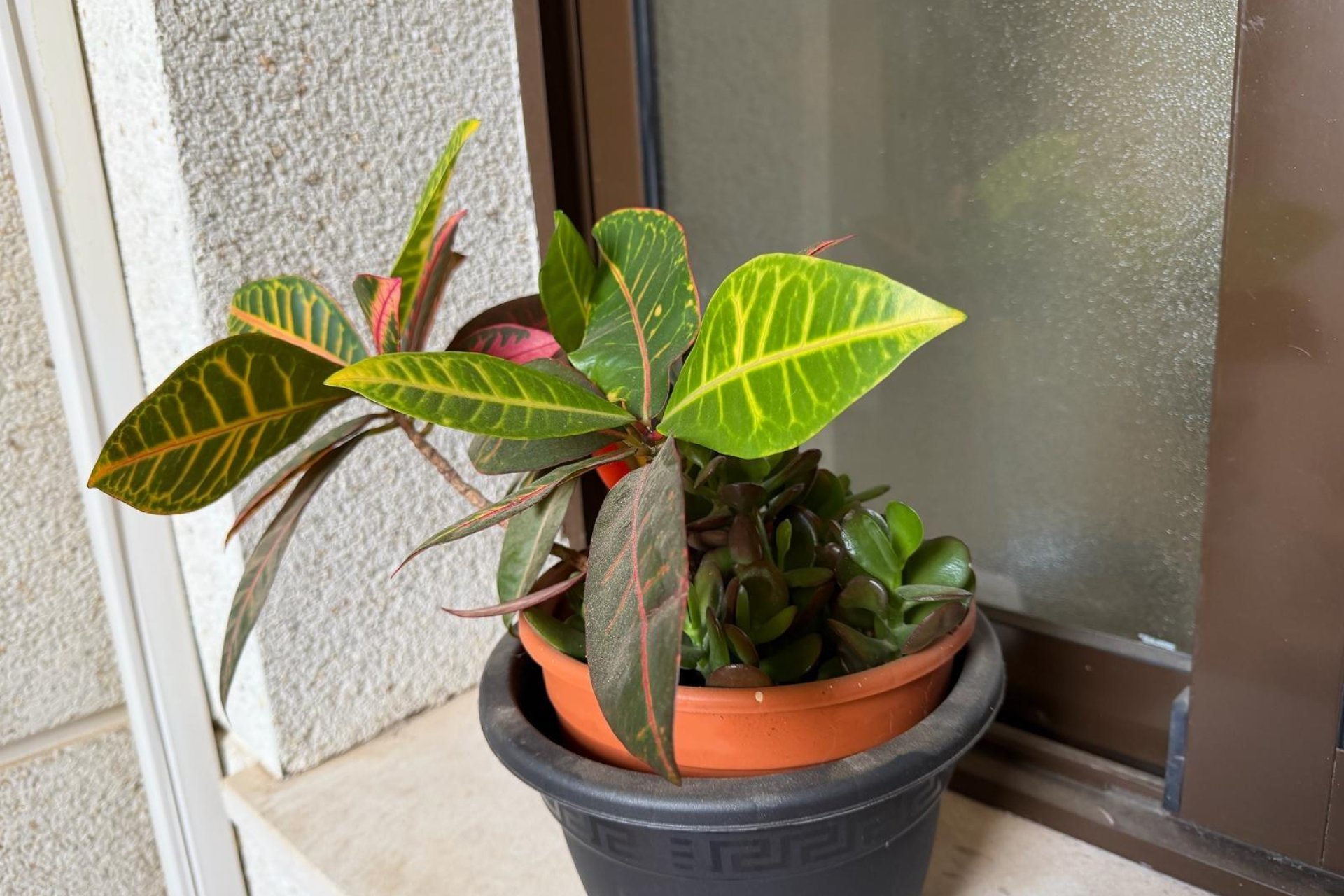 Revânzare - Apartament -
Orihuela Costa - Las Ramblas