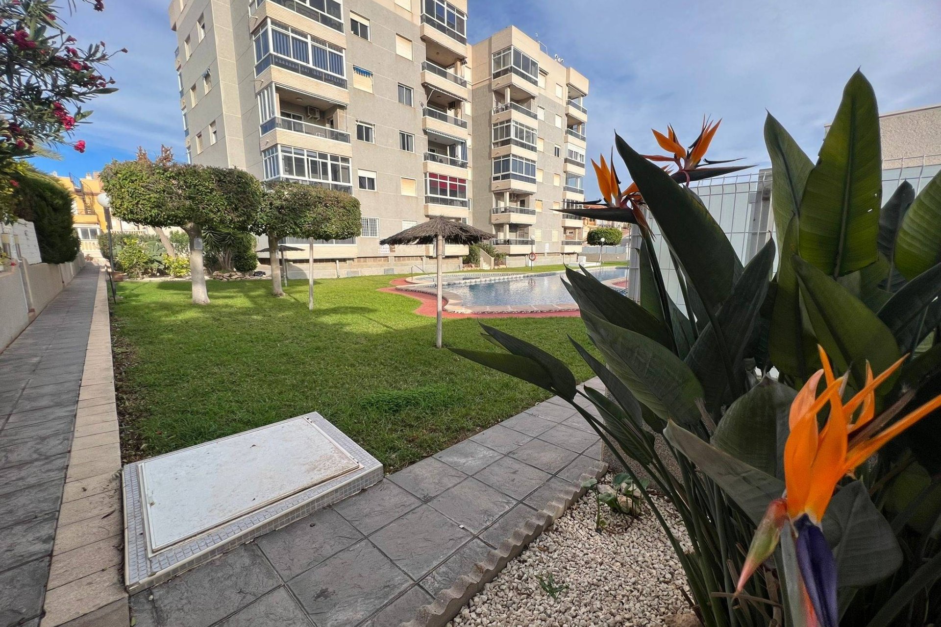 Revânzare - Apartament -
Torrevieja - Aguas Nuevas
