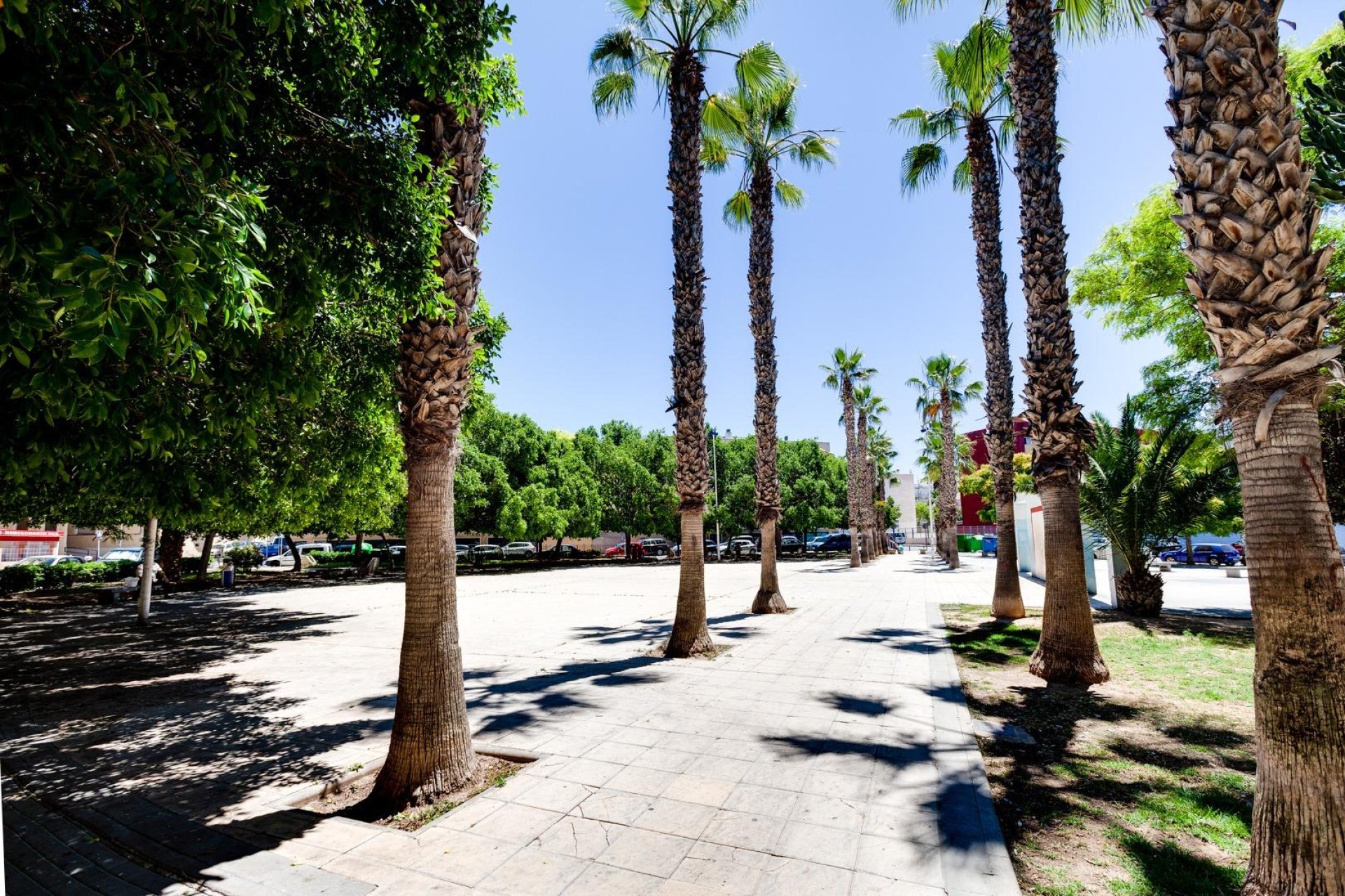 Revânzare - Apartament -
Torrevieja - Centro