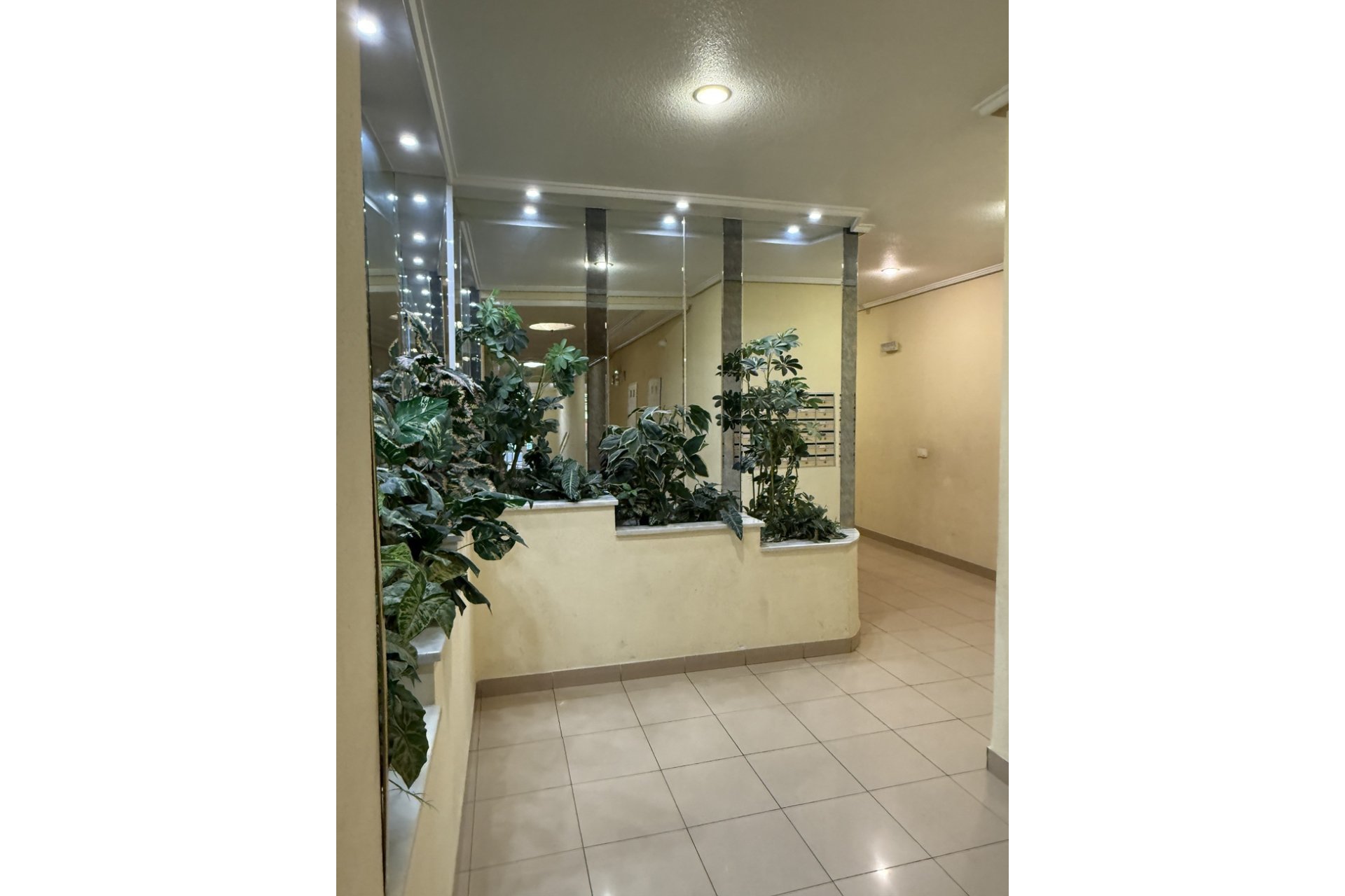 Revânzare - Apartament -
Torrevieja - Costa Blanca