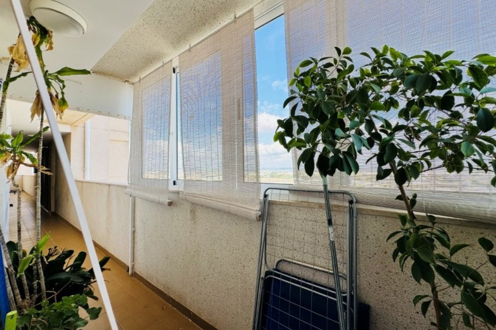 Revânzare - Apartament -
Torrevieja - Costa Blanca