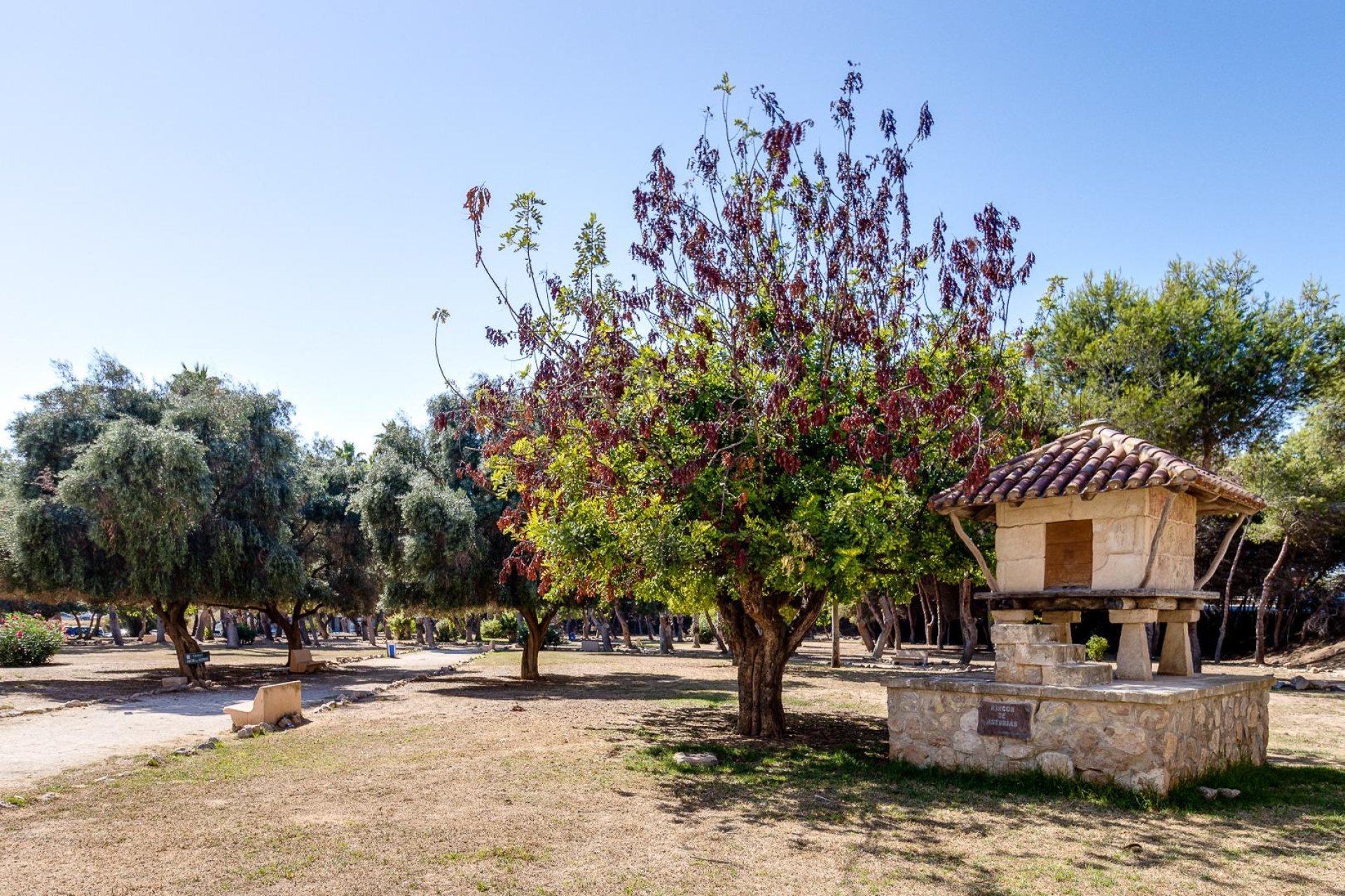 Revânzare - Apartament -
Torrevieja - El Acequión - Los Náufragos
