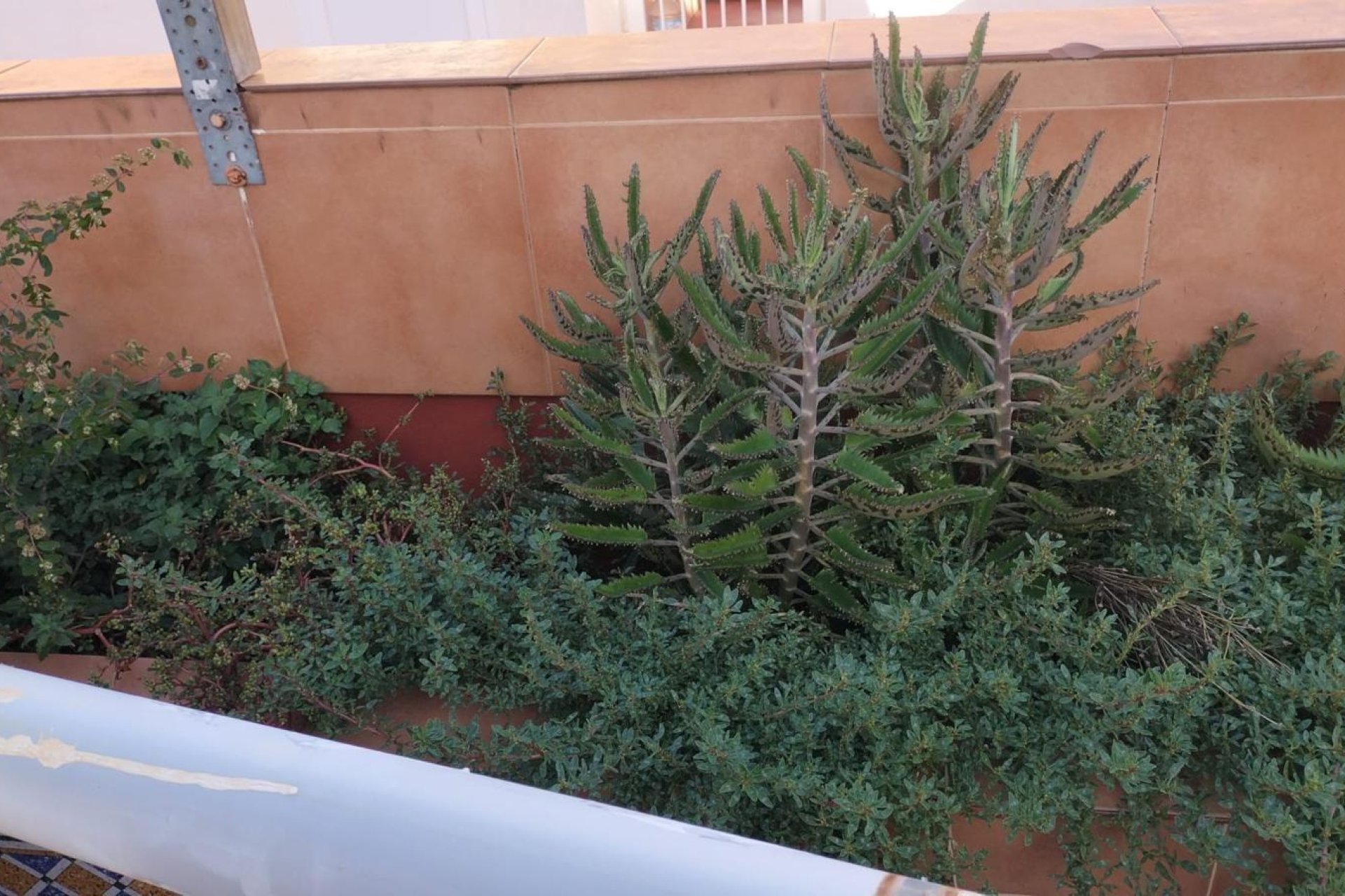 Revânzare - Apartament -
Torrevieja - La Mata