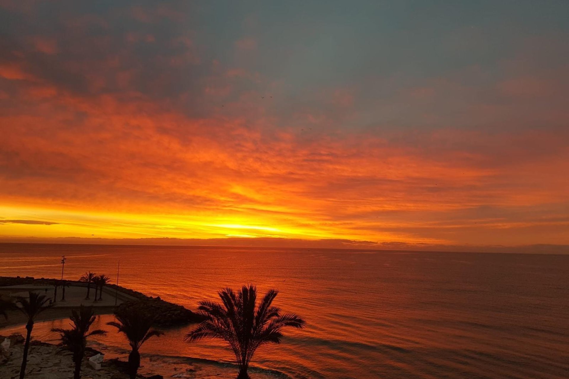 Revânzare - Apartament -
Torrevieja - Las Piscinas Naturales