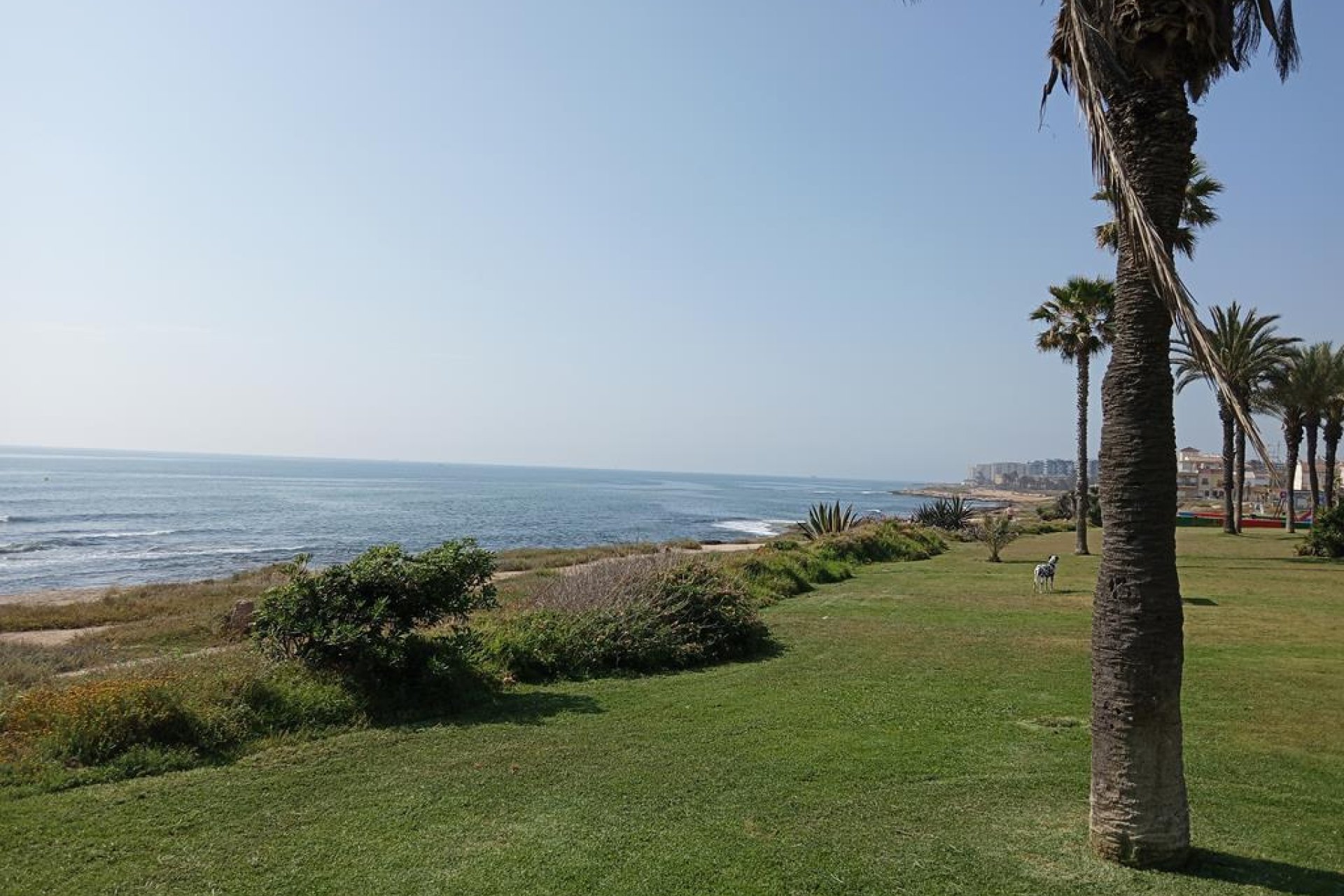 Revânzare - Apartament -
Torrevieja - MAR AZUL LA VELETA