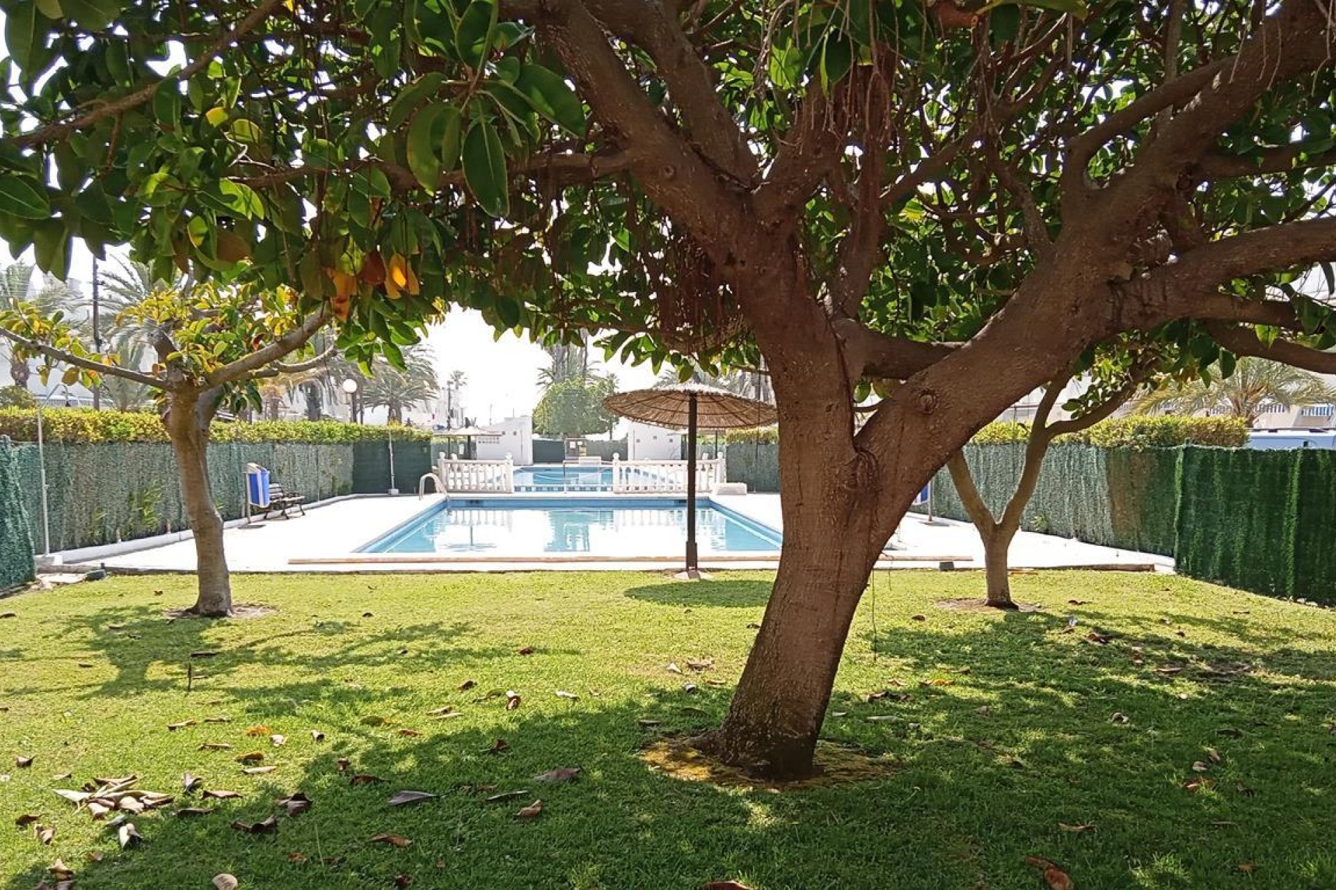 Revânzare - Apartament -
Torrevieja - MAR AZUL LA VELETA
