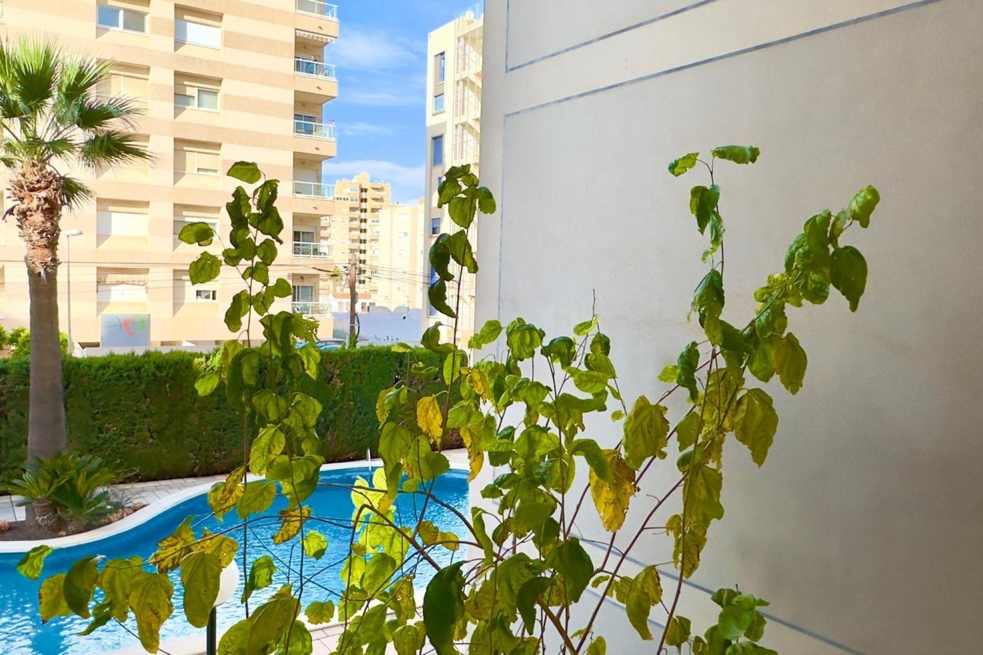 Revânzare - Apartament -
Torrevieja - Playa del Cura