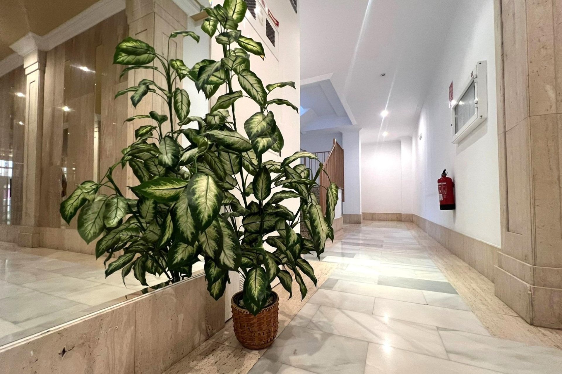 Revânzare - Apartament -
Torrevieja