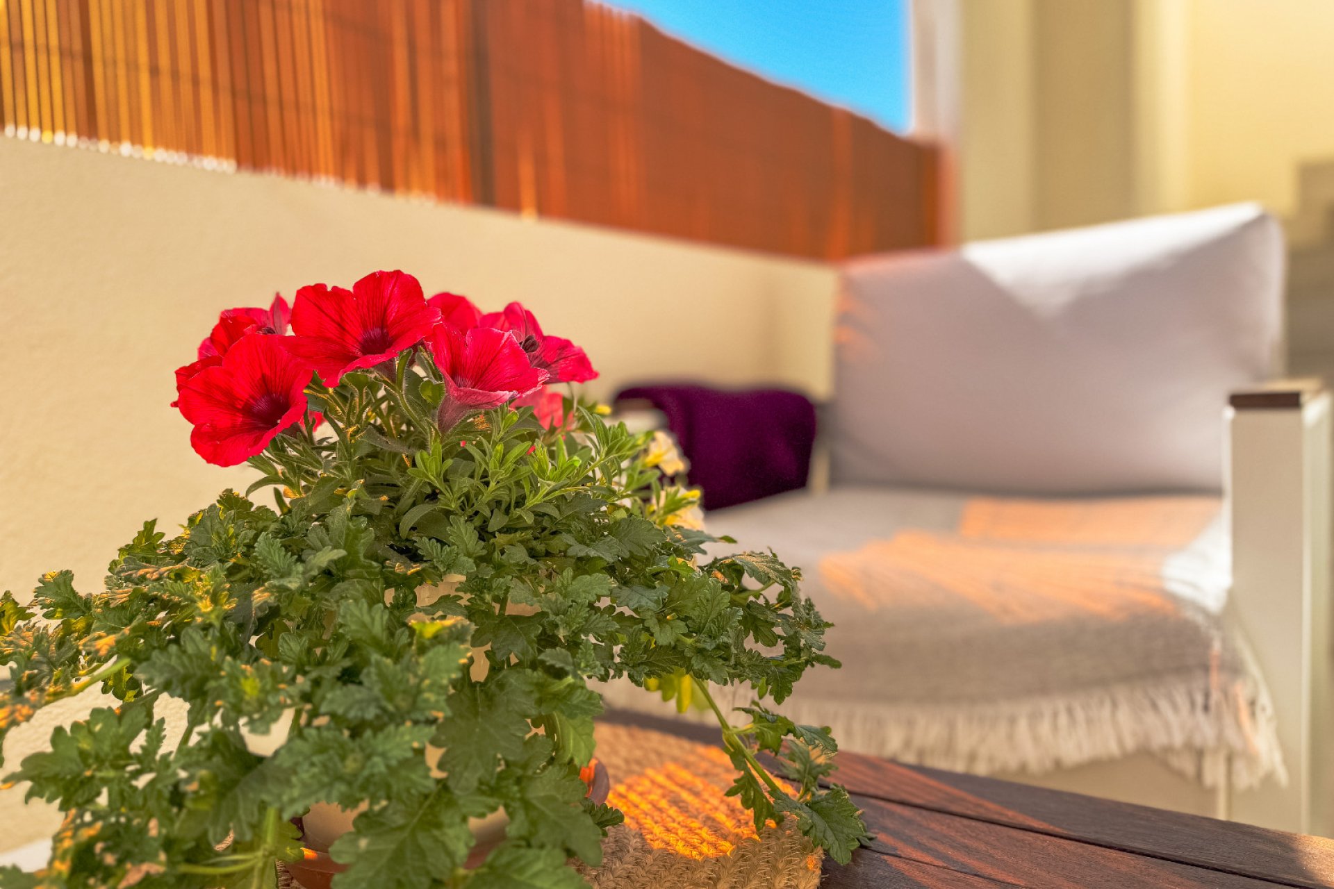 Revânzare - Bungalou -
Los Altos - Costa Blanca