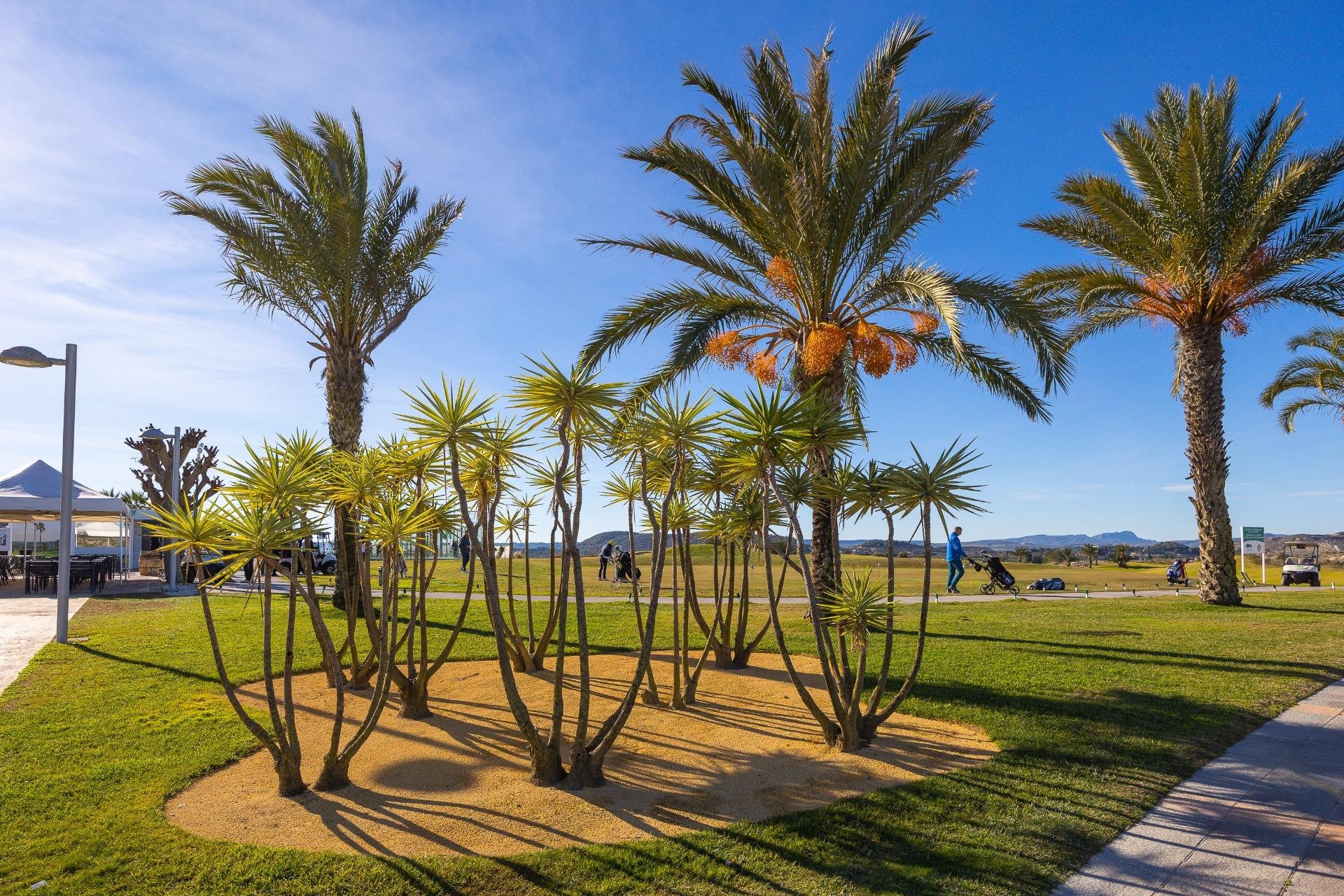 Revânzare - Bungalou -
Orihuela - Desamparados-hurchillo-torremendo